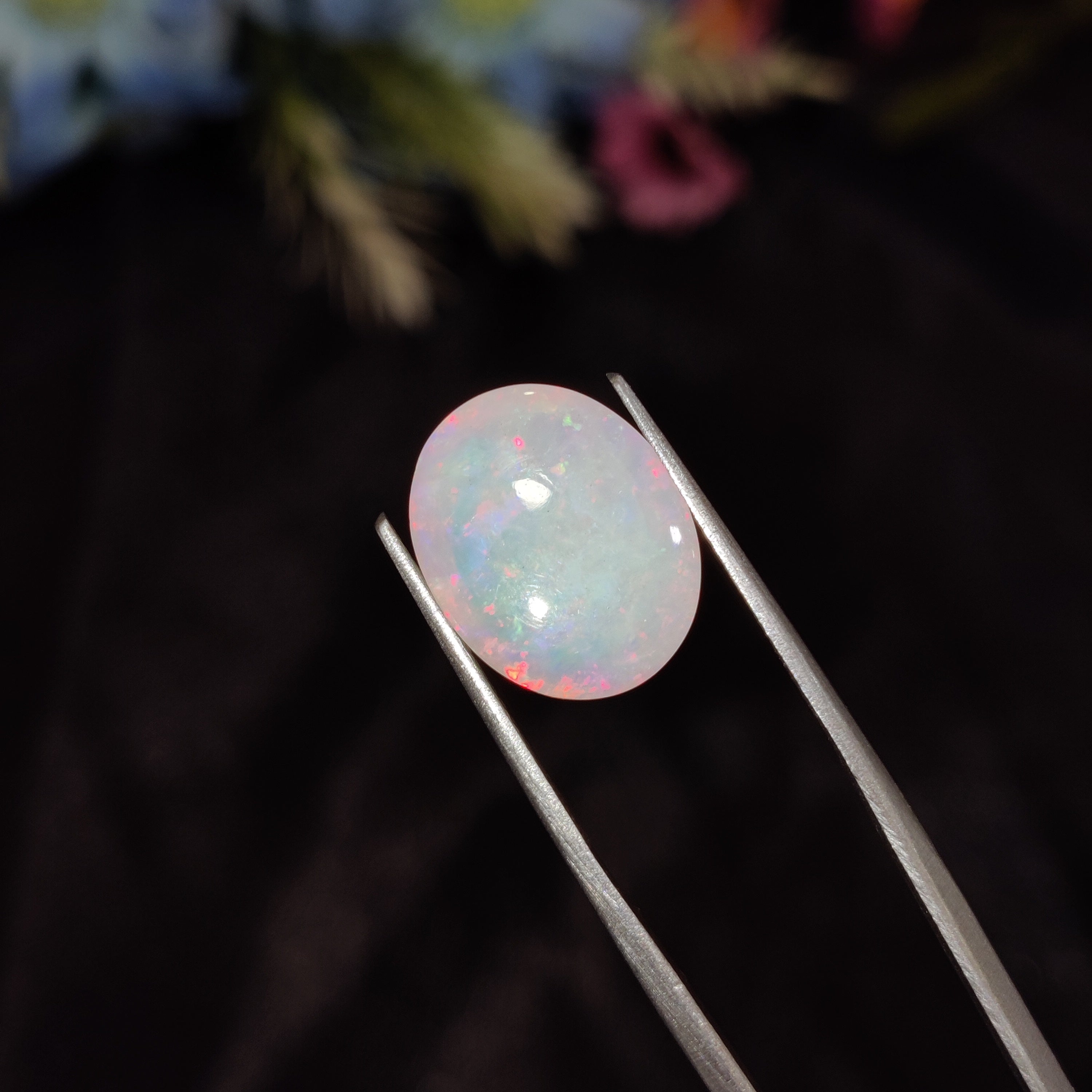 Opal | Opal 178 | 4.98 Carat