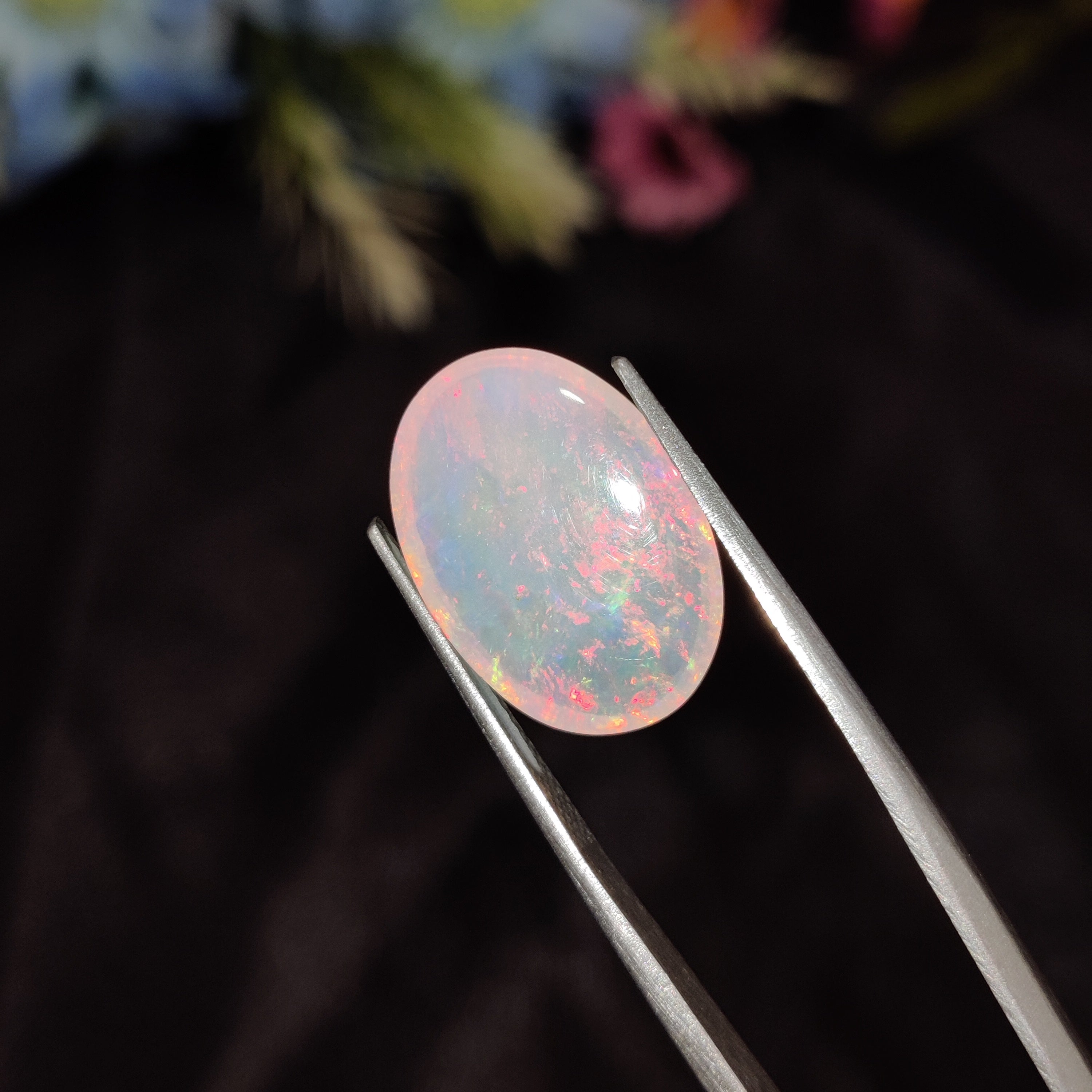 Opal | Opal 179 | 5.42 Carat
