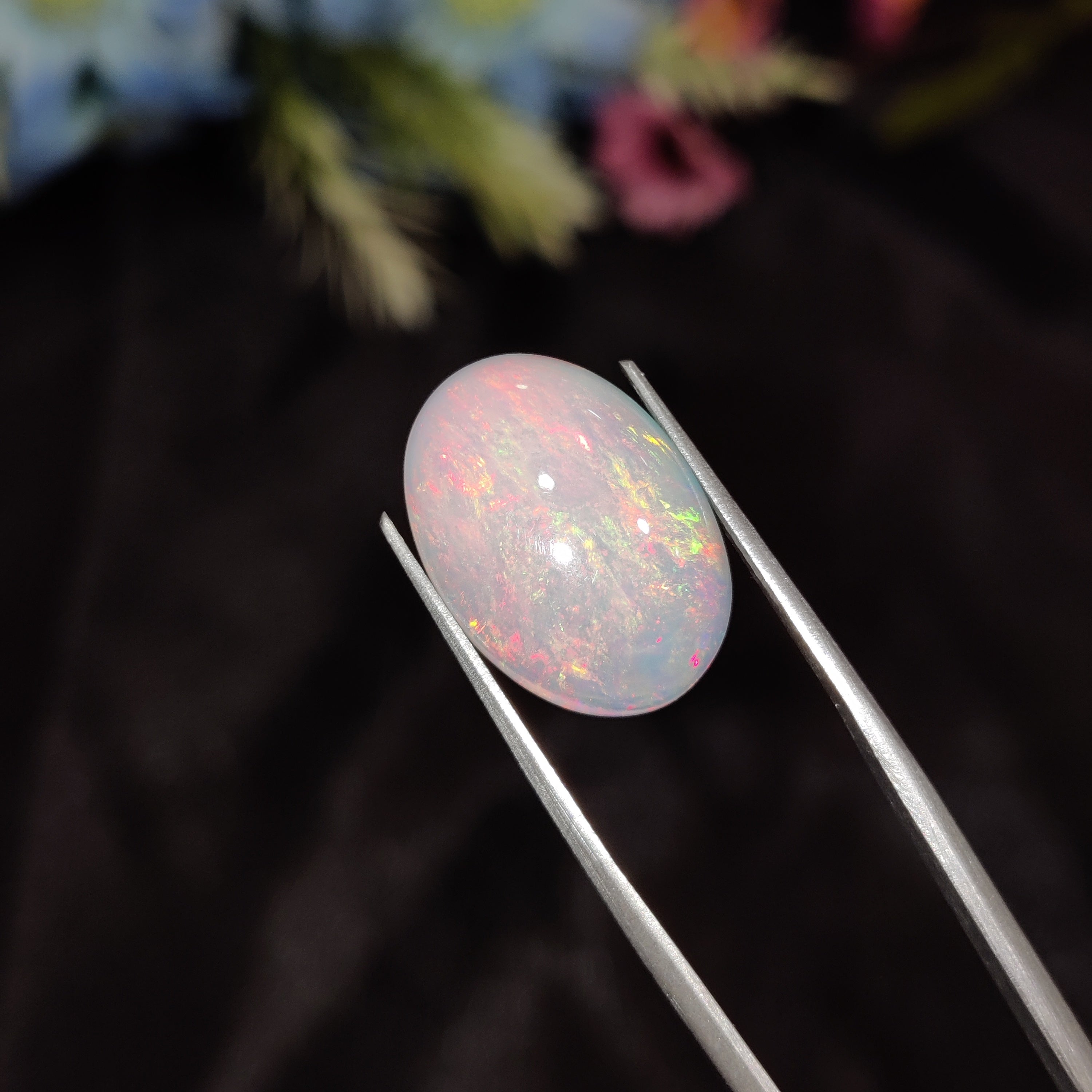 Opal | Opal 179 | 5.42 Carat