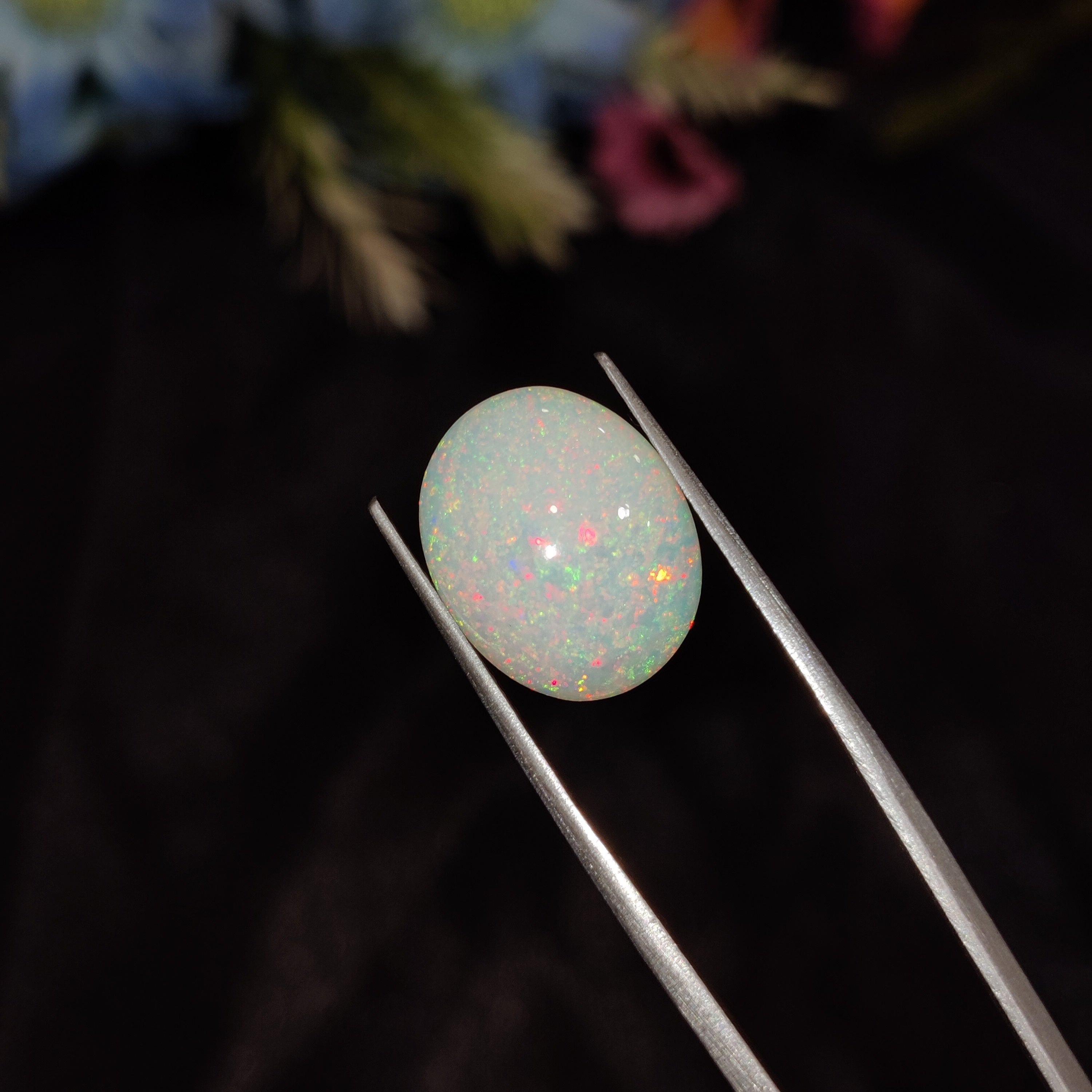 Opal | Opal 183 | 4.35 Carat