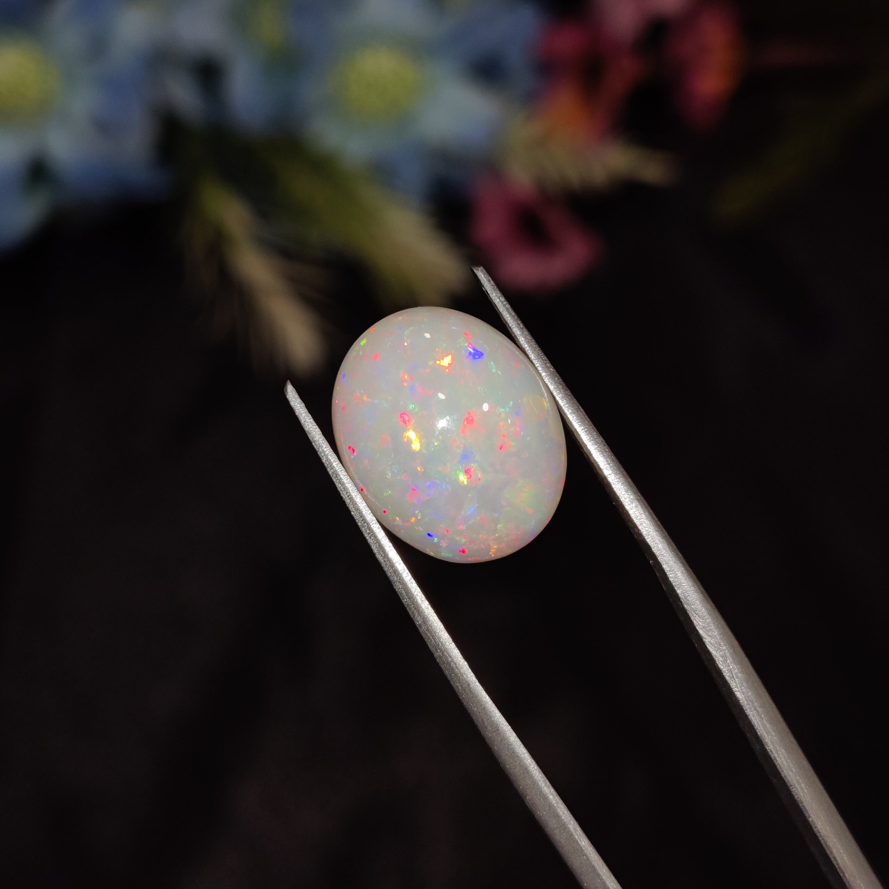 Opal | Opal 186 | 4.29 Carat