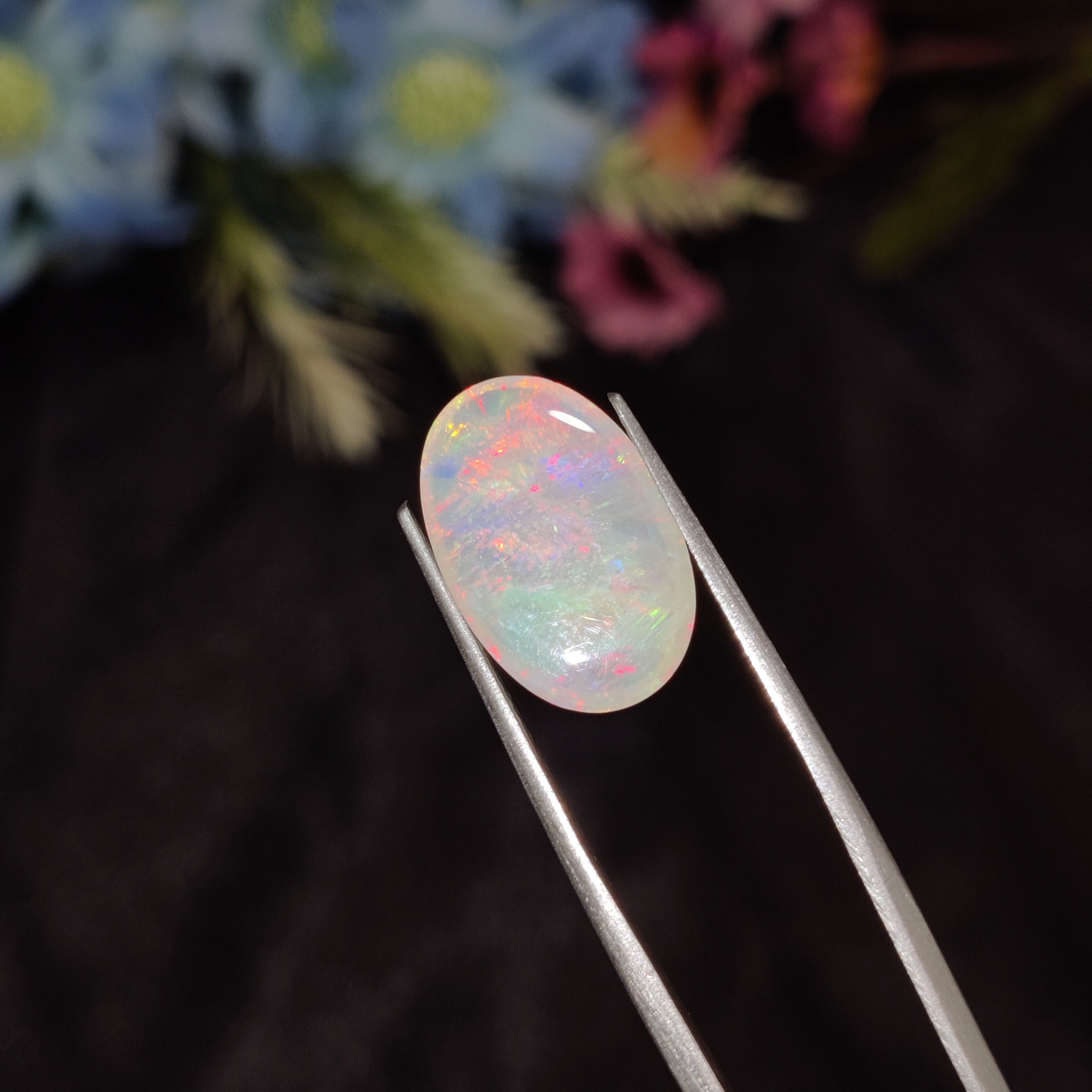 Opal | Opal 188 | 3.04 Carat
