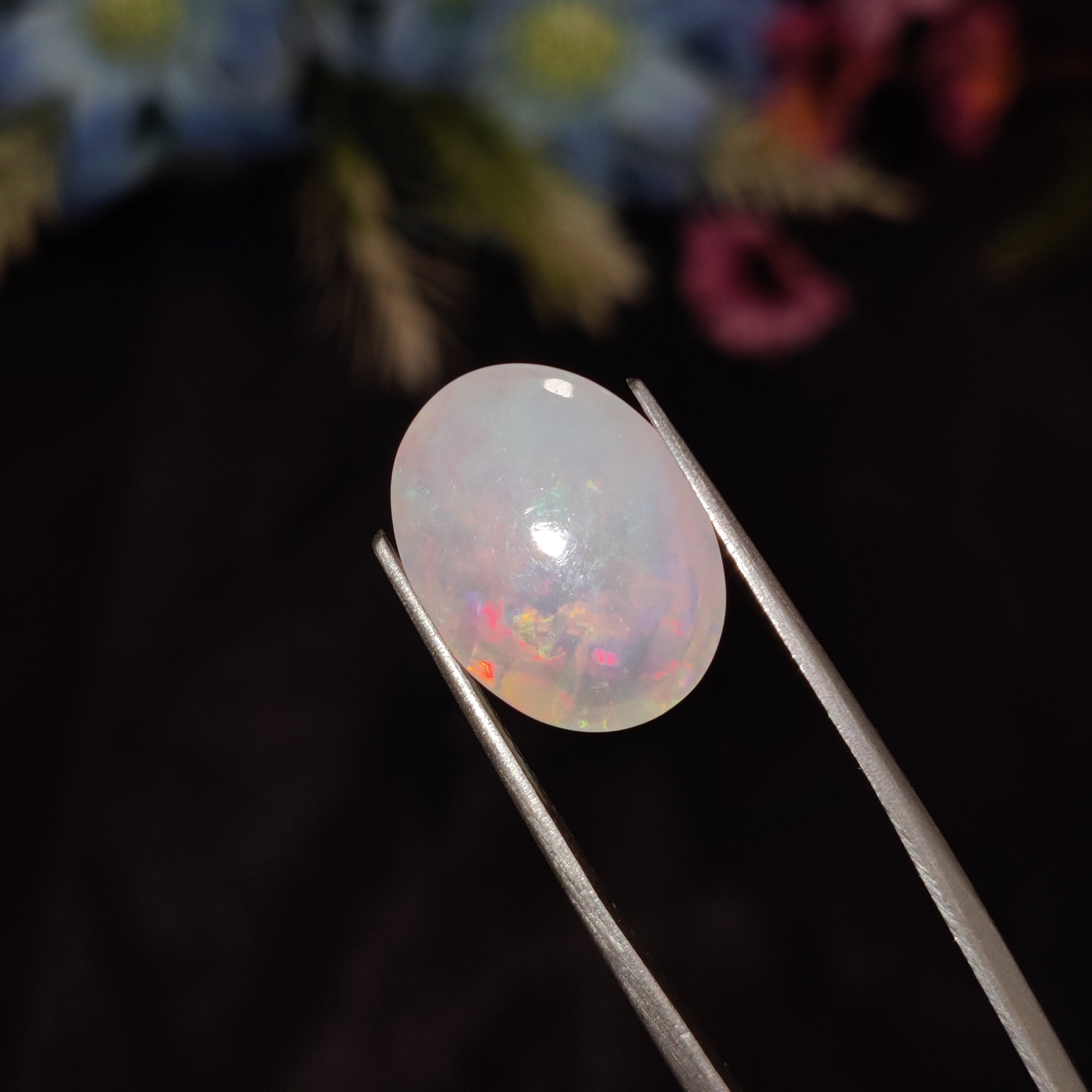 Opal | Opal 193 | 4.26 Carat