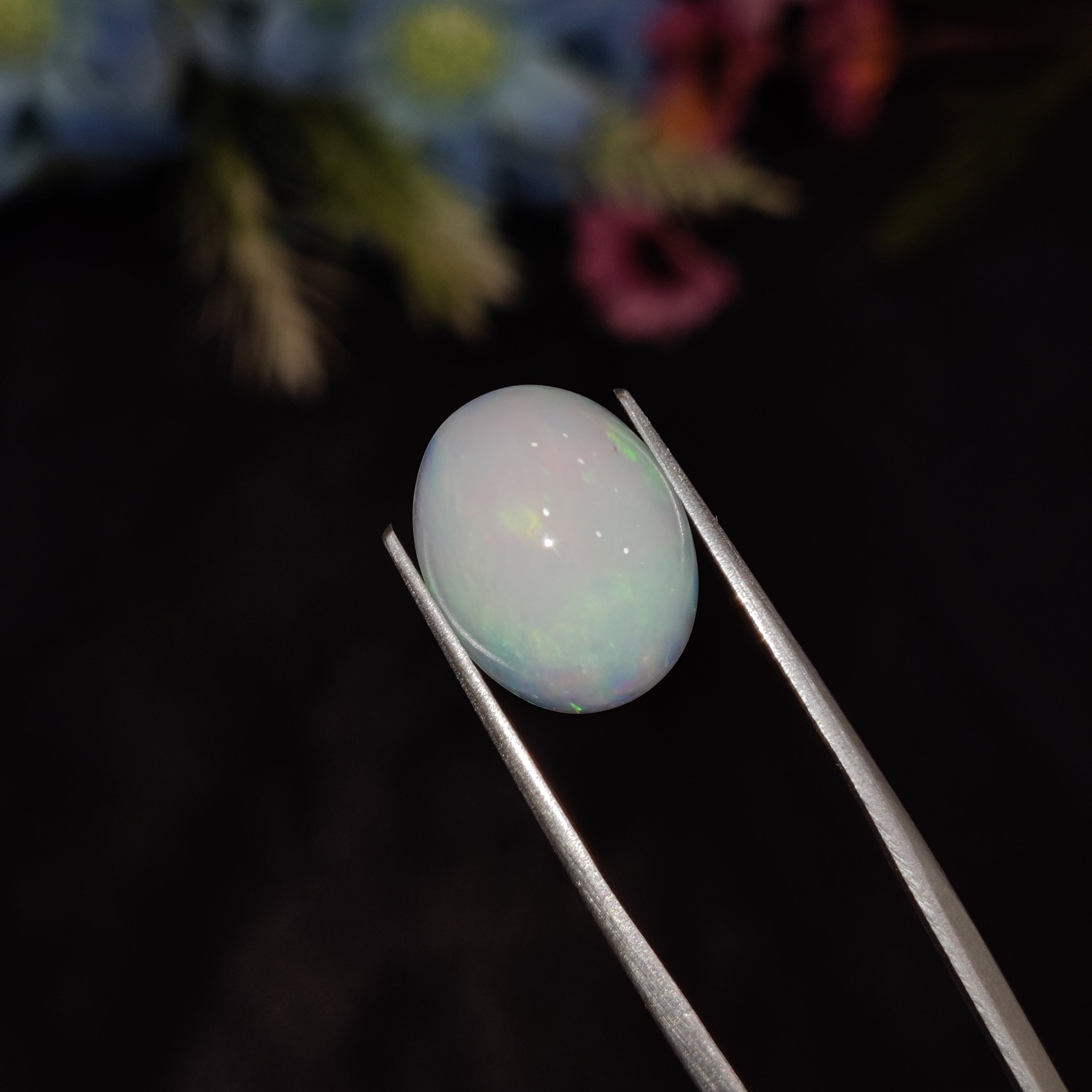 Opal | Opal 195 | 4.88 Carat