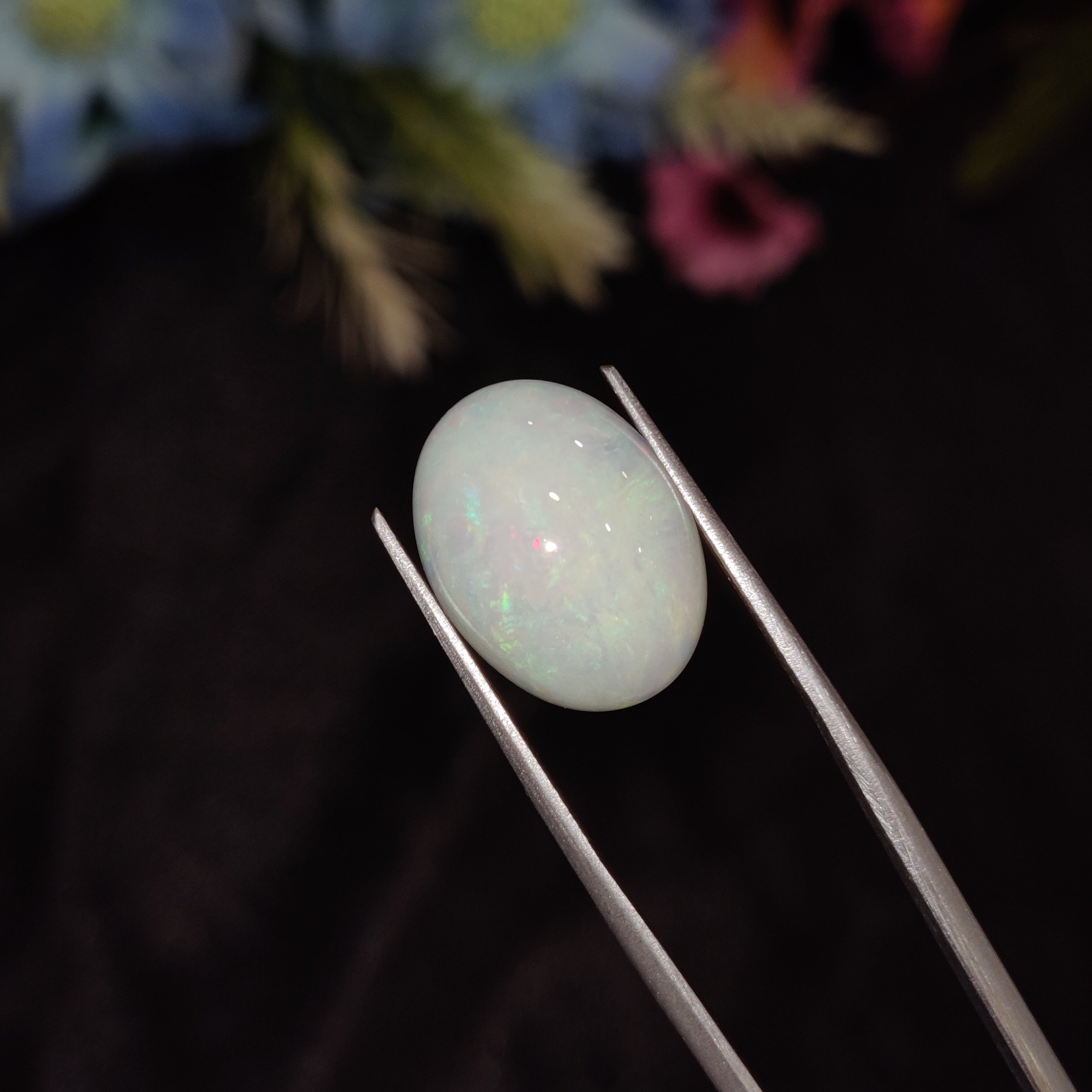 Opal | Opal 197 | 5.53 Carat