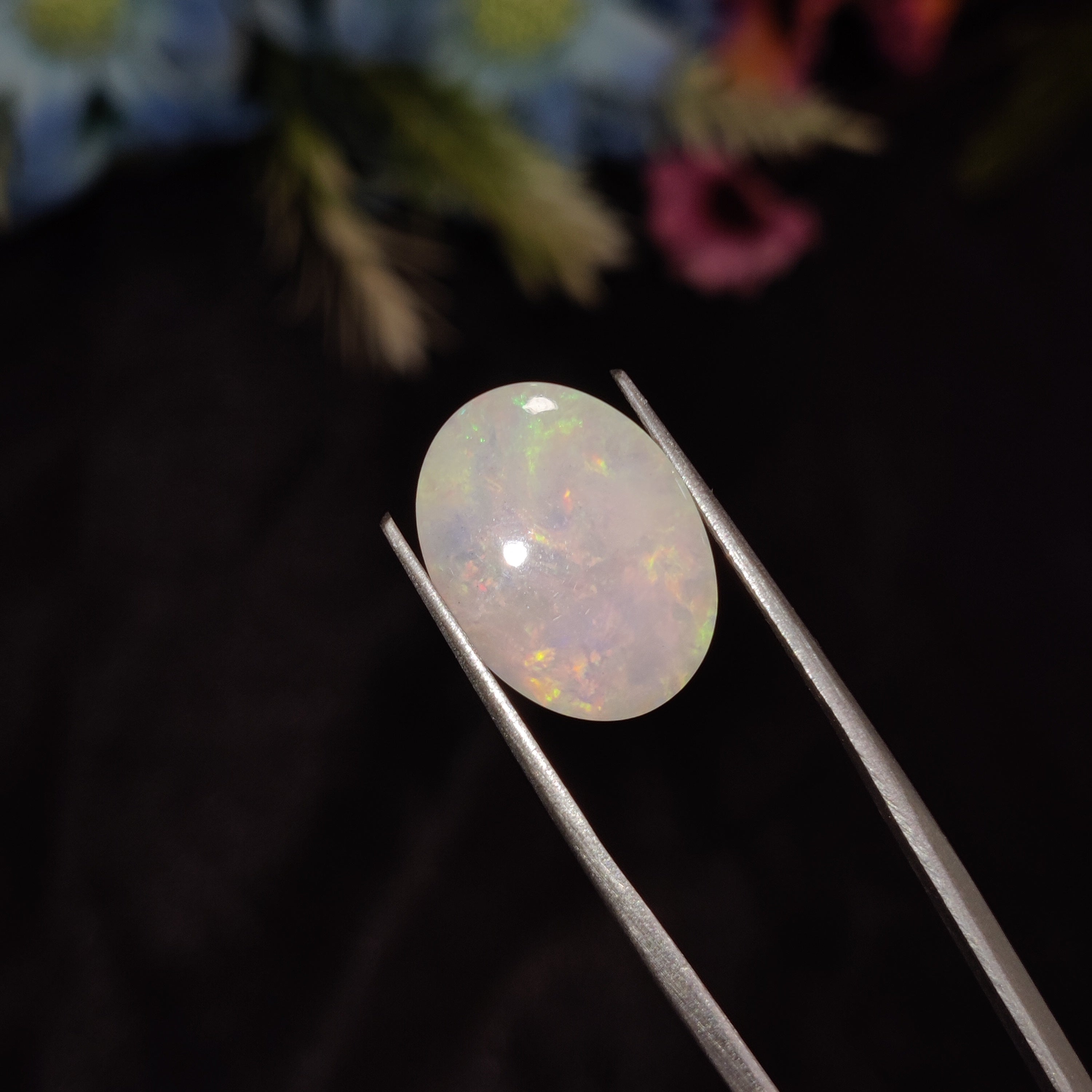 Opal | Opal 197 | 5.53 Carat