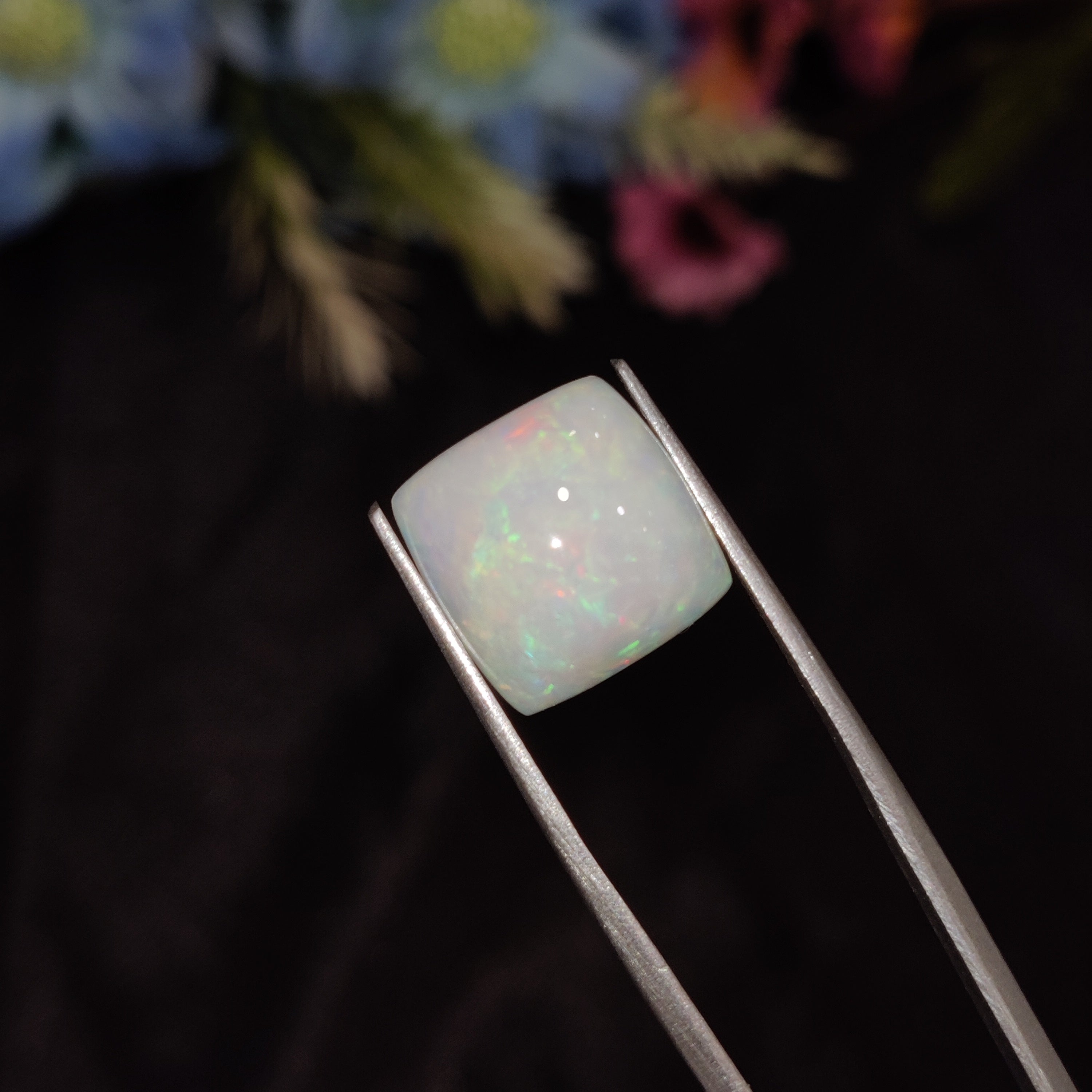 Opal | Opal 199 | 5.73 Carat