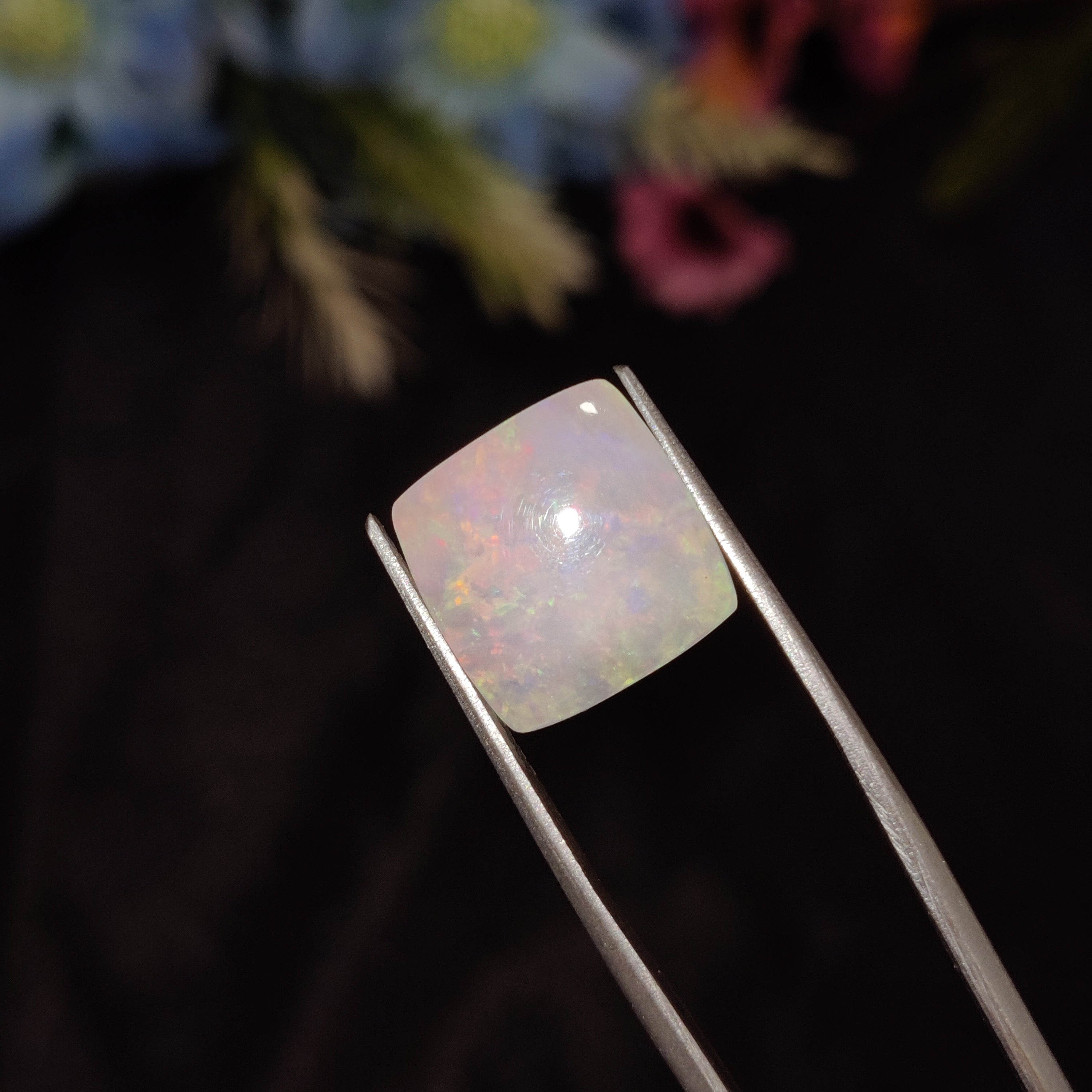 Opal | Opal 199 | 5.73 Carat
