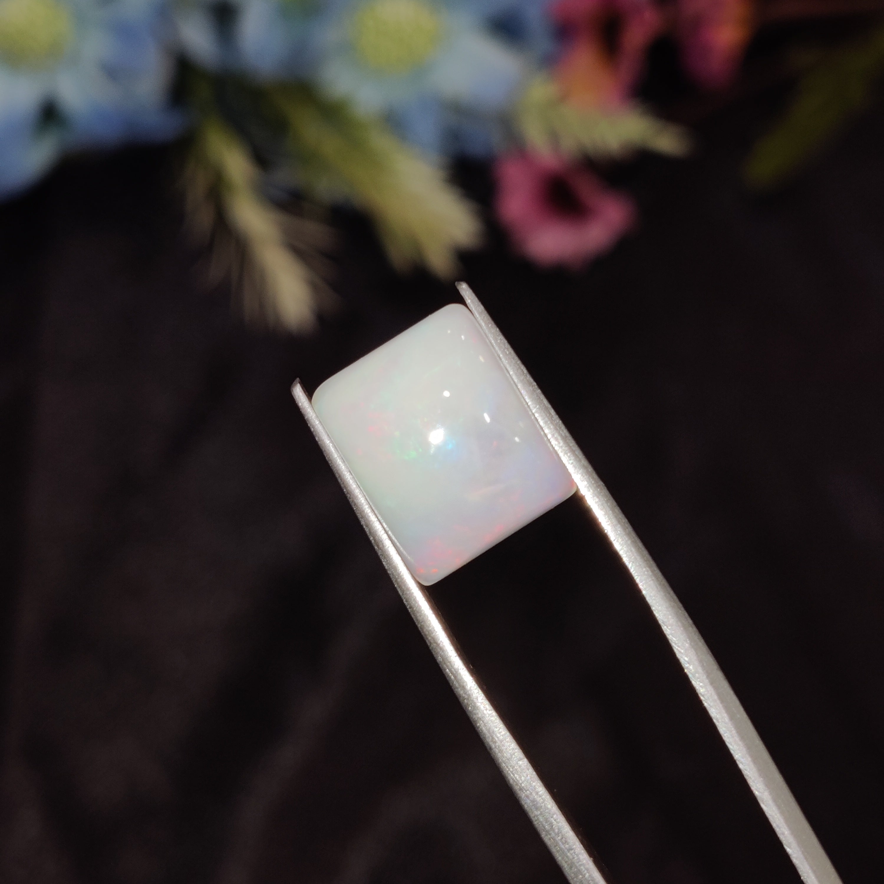 Opal | Opal 201 | 4.08 Carat