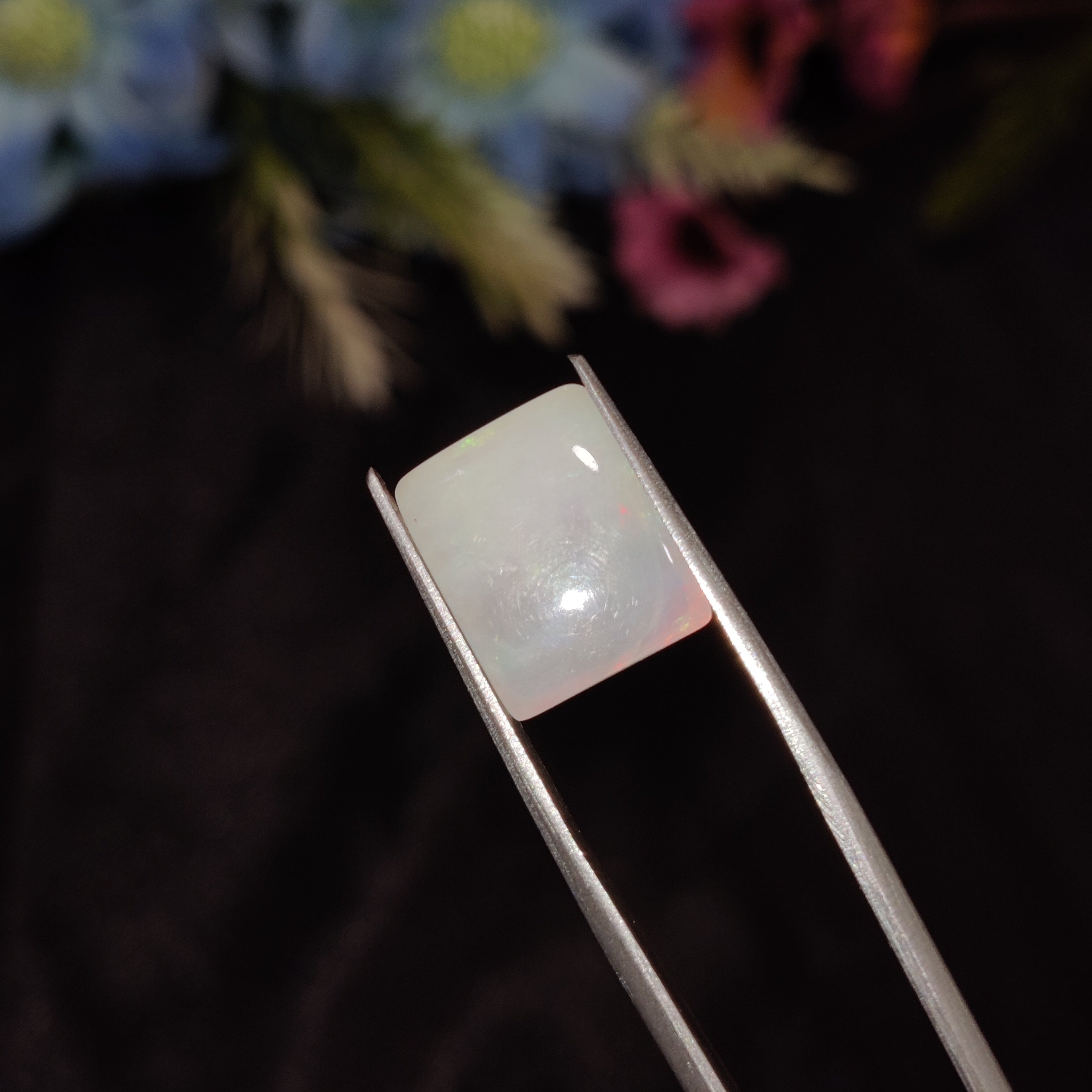 Opal | Opal 201 | 4.08 Carat