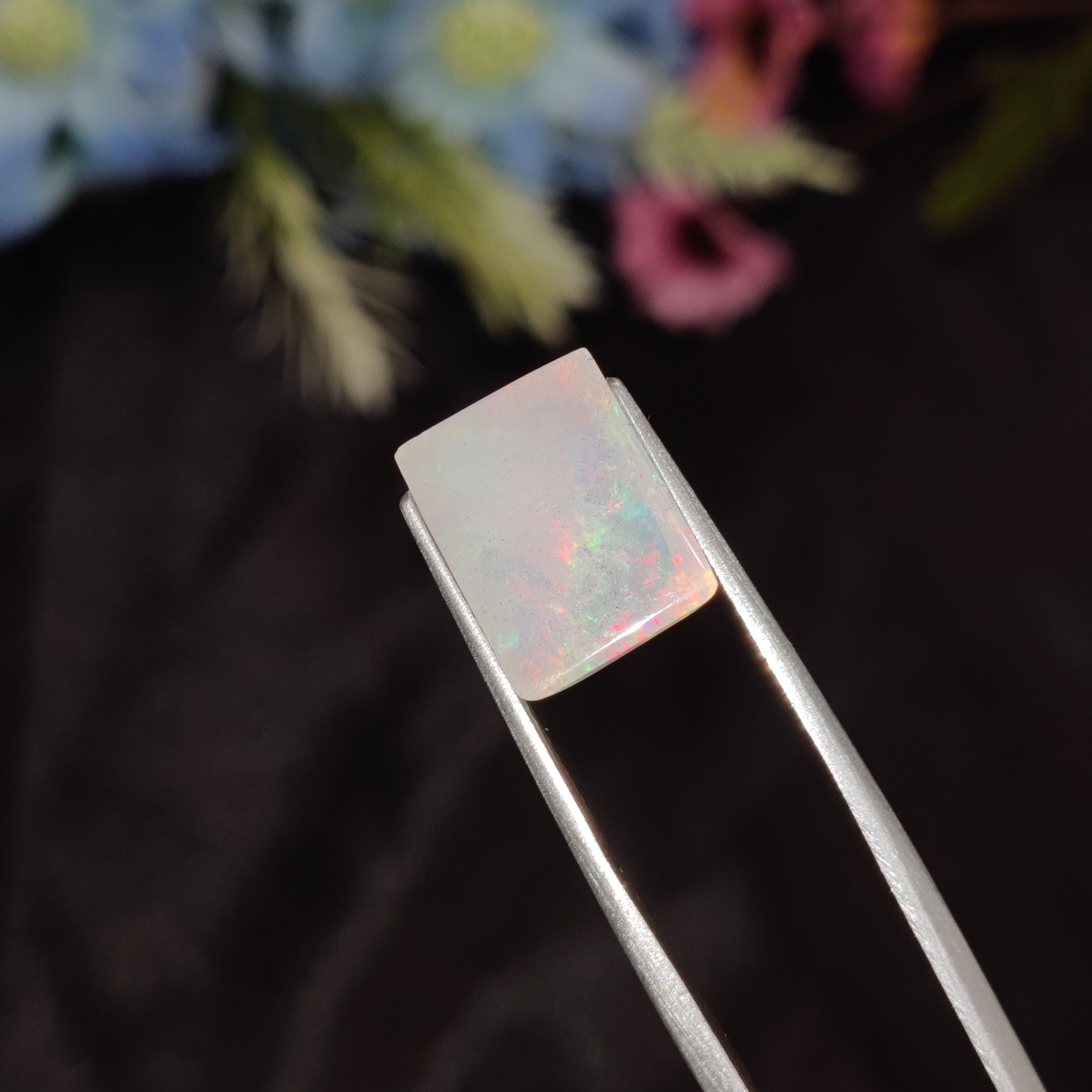 Opal | Opal 202 | 4.35 Carat