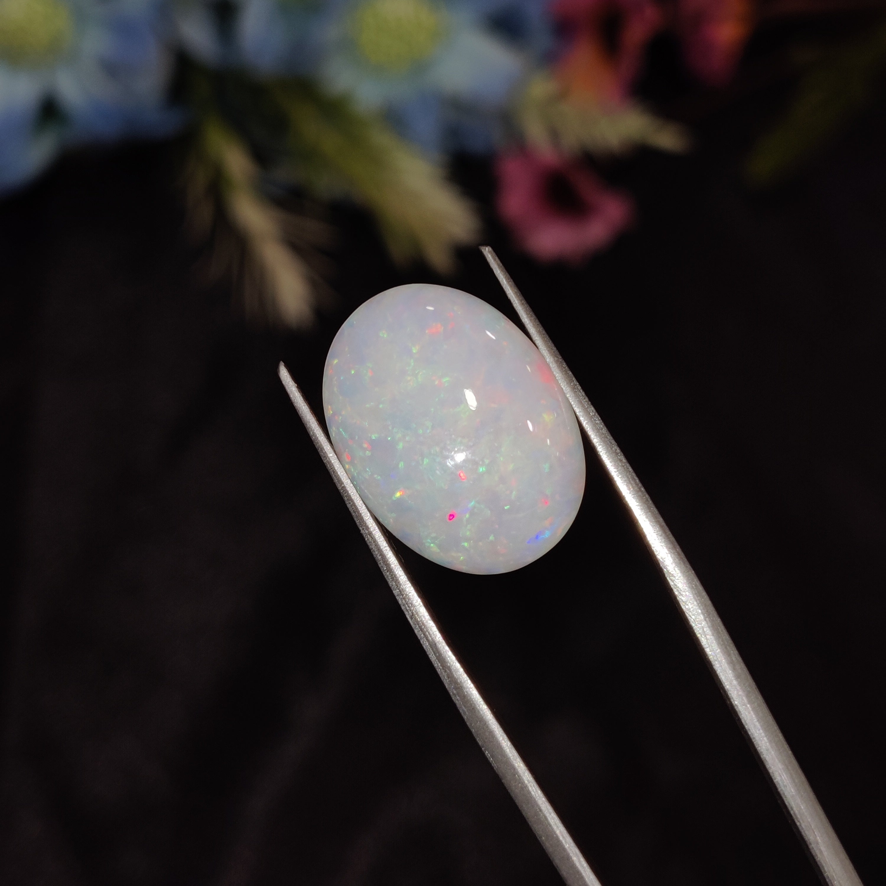 Opal | Opal 203 | 5.67 Carat