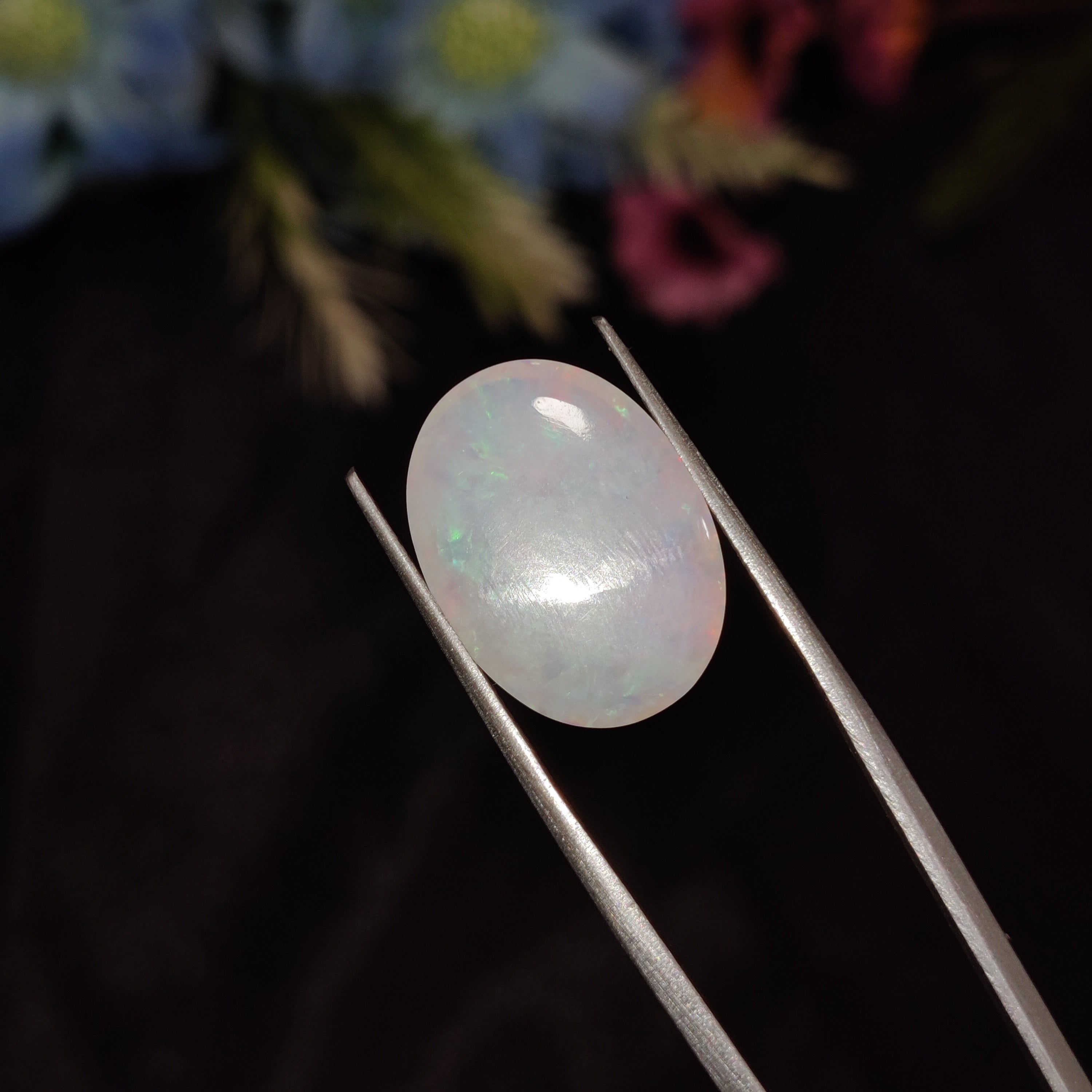 Opal | Opal 203 | 5.67 Carat
