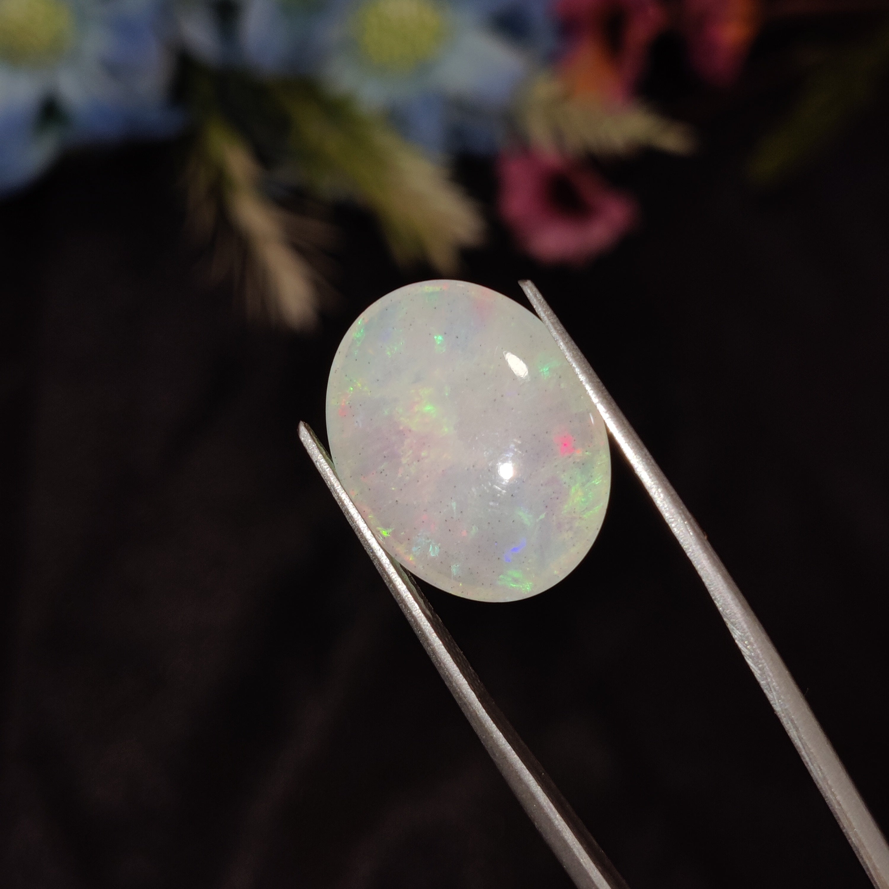 Opal | Opal 205 | 5.35 Carat