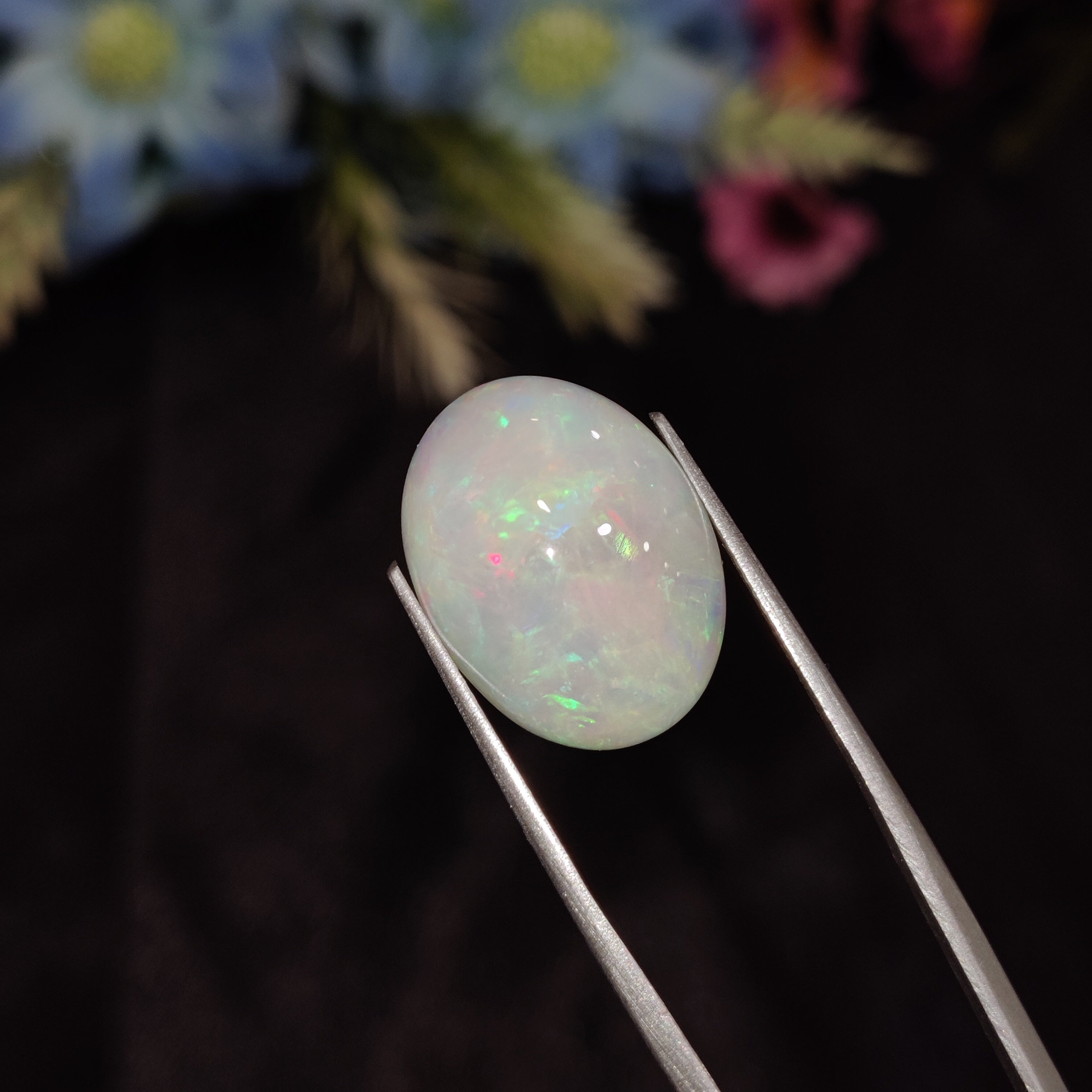 Opal | Opal 206 | 7.23 Carat