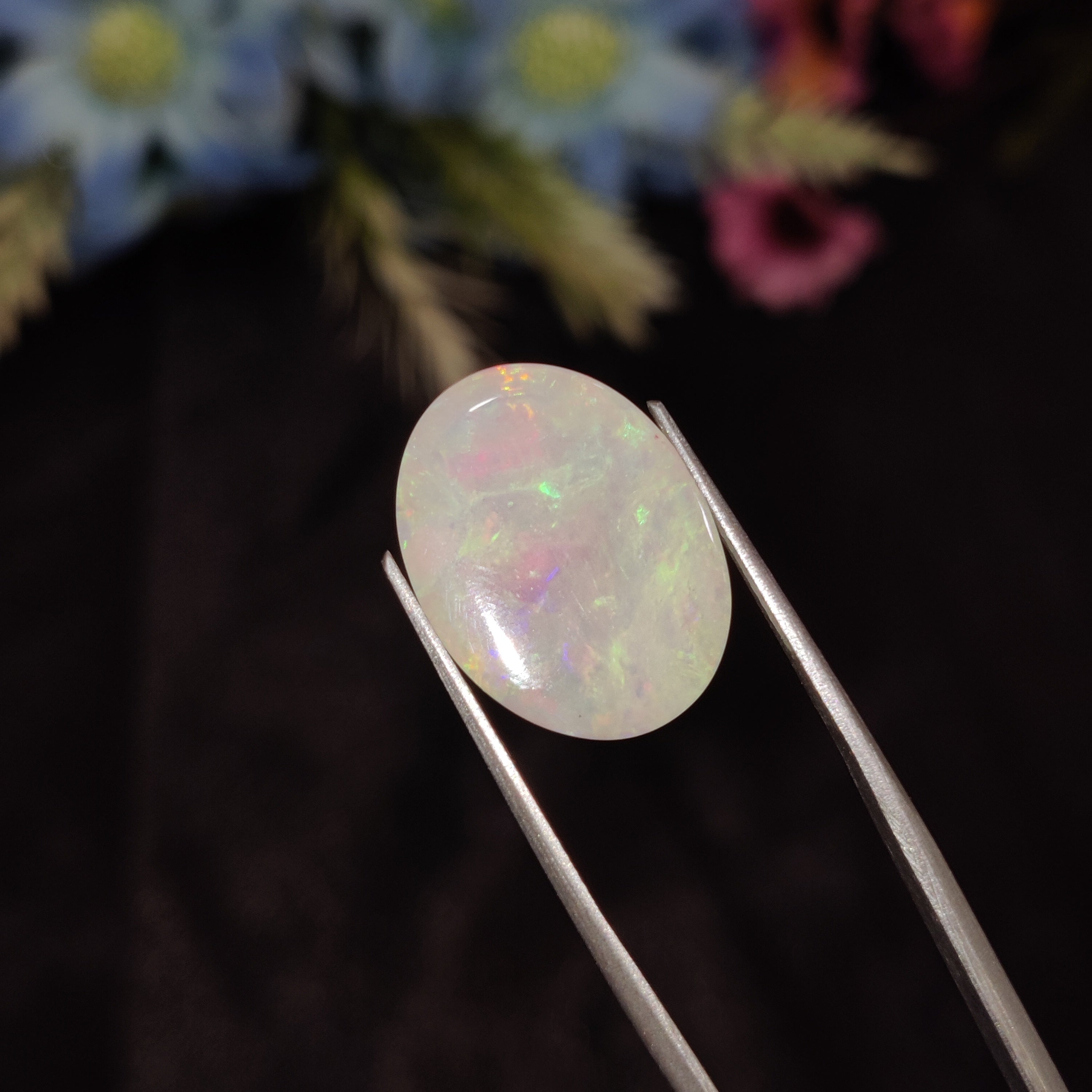 Opal | Opal 206 | 7.23 Carat