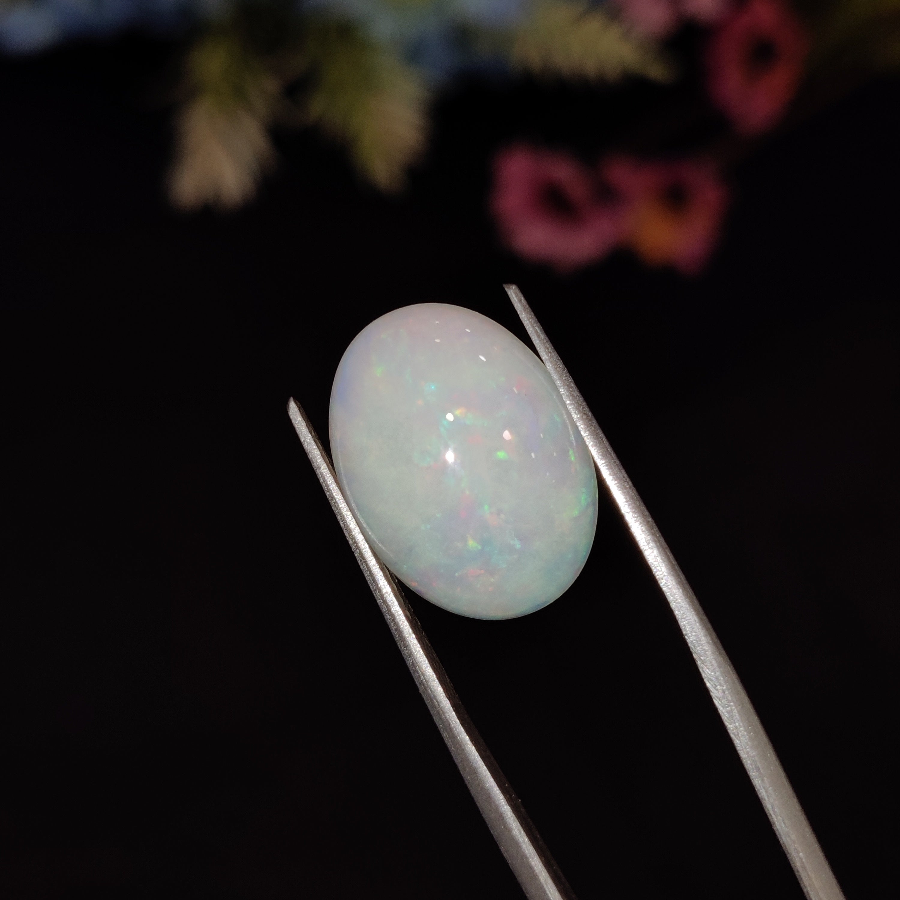 Opal | Opal 208 | 5.89 Carat