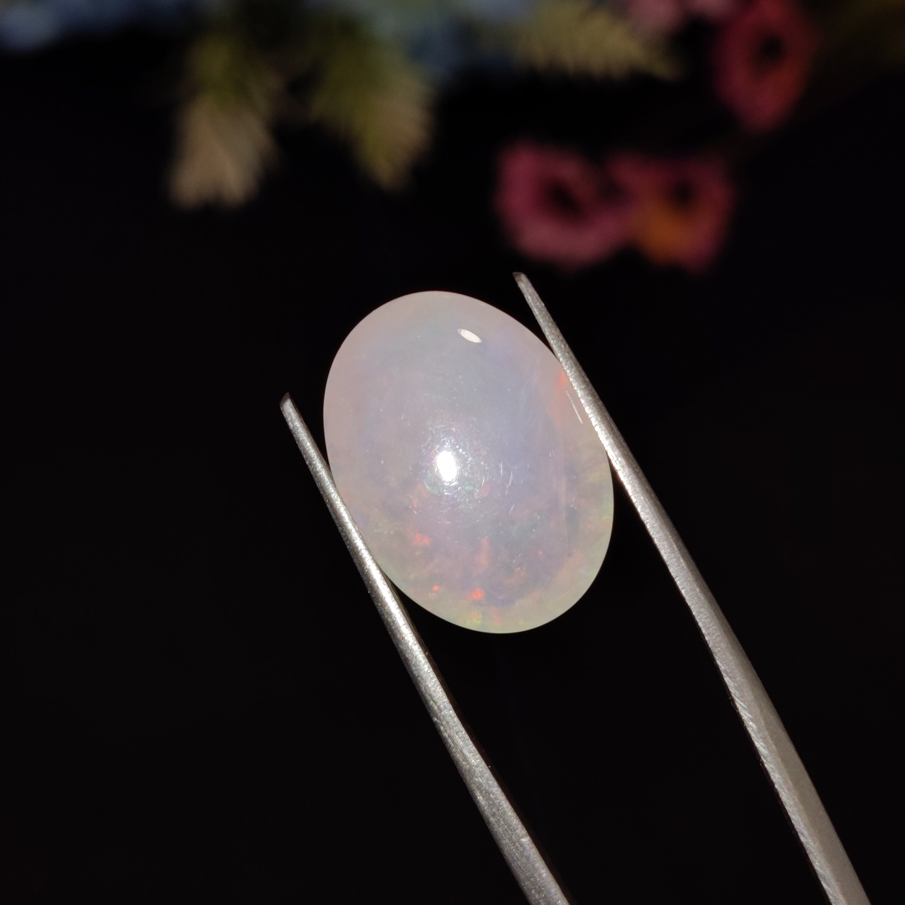 Opal | Opal 208 | 5.89 Carat