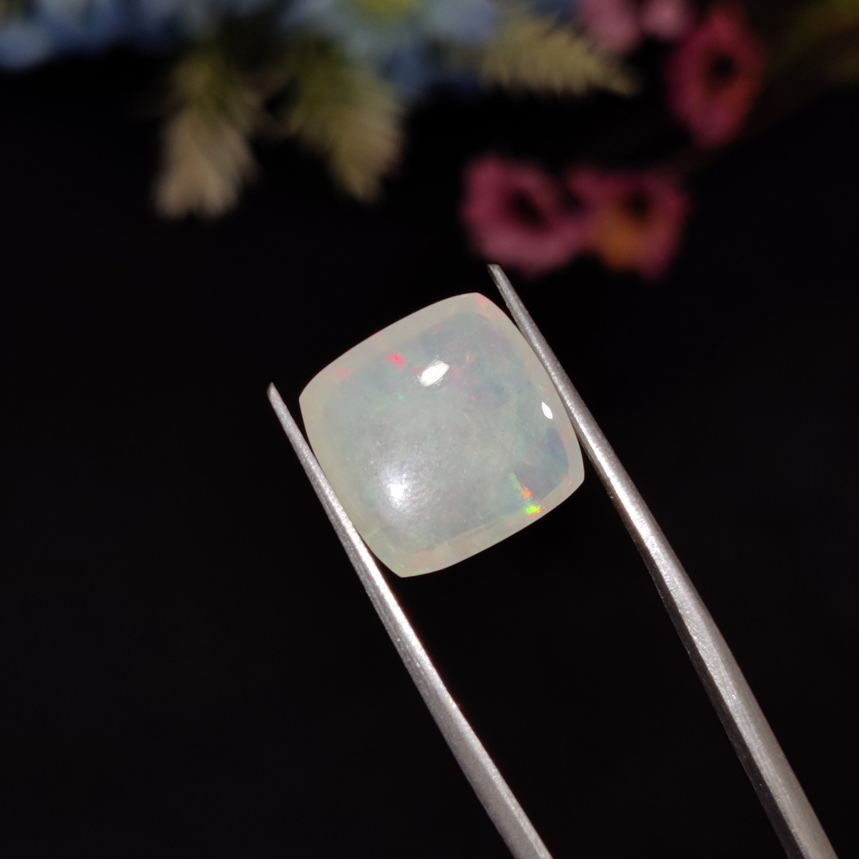 Opal | Opal 210 | 5.31 Carat