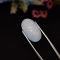 Opal | Opal 213 | 7.16 Carat