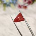 Coral | CORAL 197 | 3.5 Carat