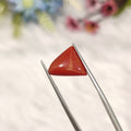 Coral | CORAL 199 | 3.84 Carat