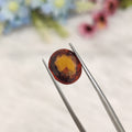 Hessonite Garnet | HG 8 | 4.58 Carat