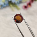 Hessonite Garnet | HG 7 | 4.87 Carat