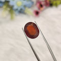 Hessonite Garnet  | HG 44 | 6.67 Carat