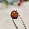 Hessonite Garnet  | HG 50 | 6.76 Carat