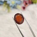 Hessonite Garnet  | HG 51 | 7.12 Carat