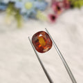 Hessonite Garnet | HG 27 | 7.19 Carat