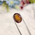 Hessonite Garnet | HG 14 | 8.65 Carat