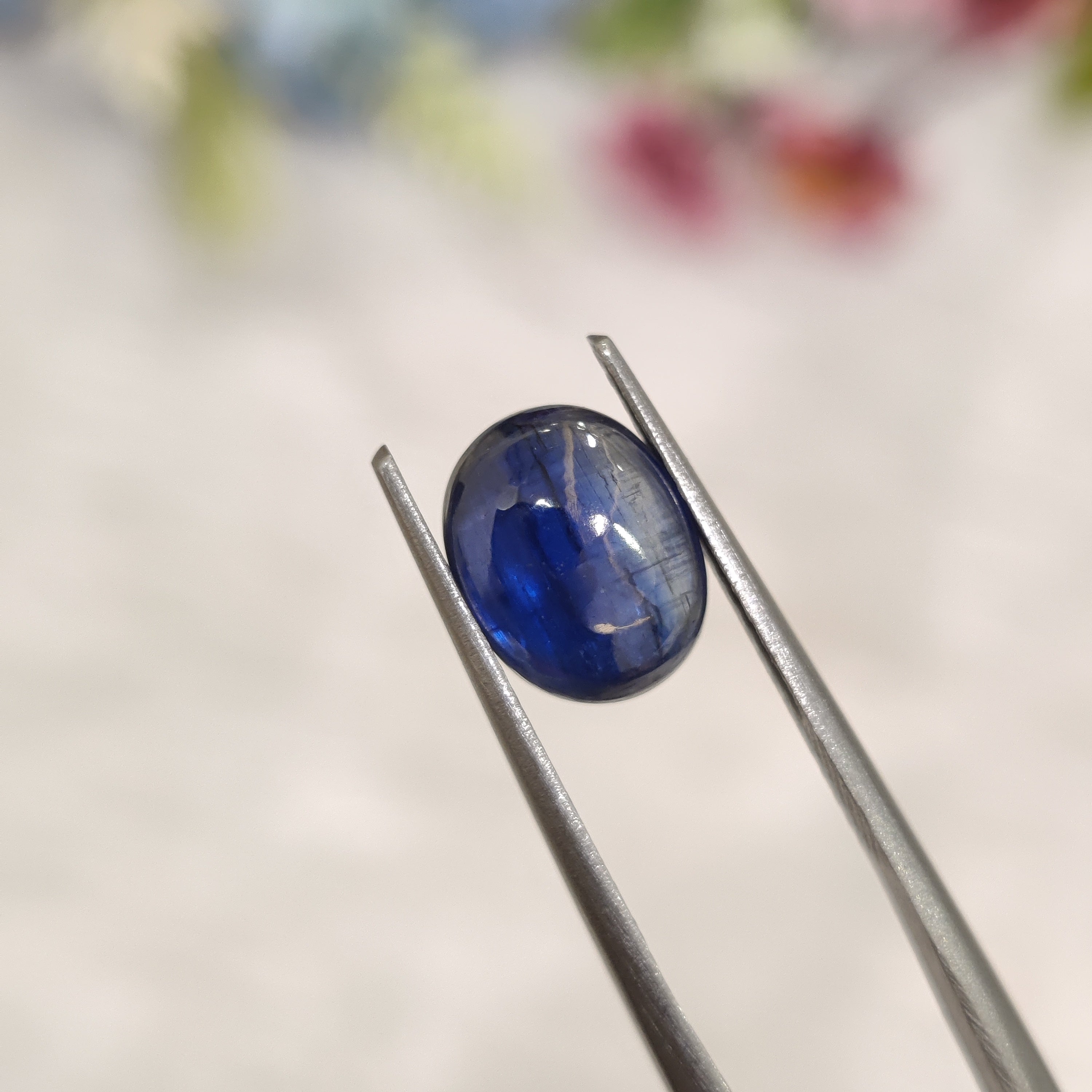 Kyanite | Kyanite 4 | 3 Carat