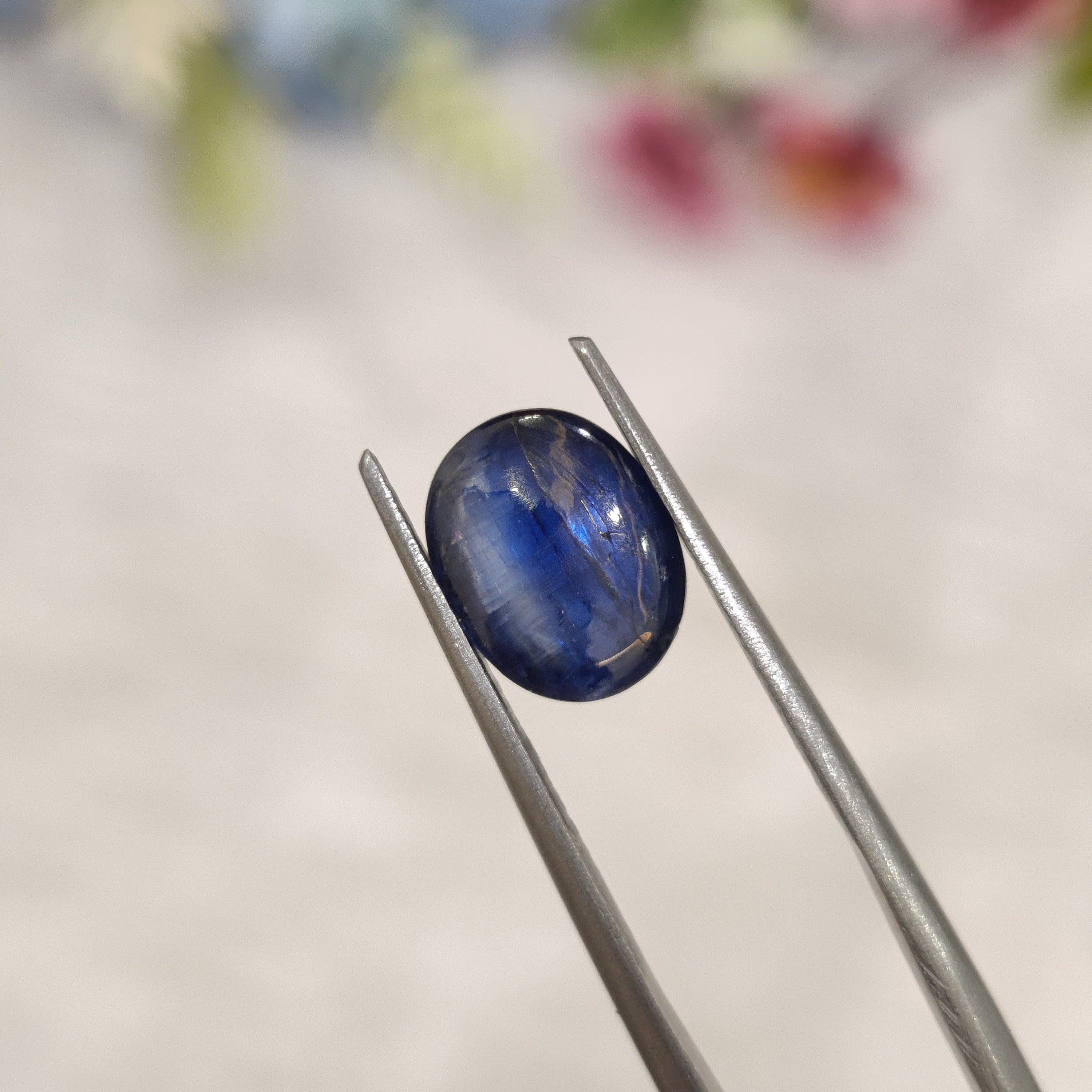 Kyanite | Kyanite 4 | 3 Carat