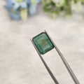 Emerald | EM 597 | 3.94 Carat