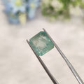 Emerald | EM 599 | 3.82 Carat
