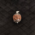 Natural 5 Mukhi Rudraksha Pendant | RP5M3