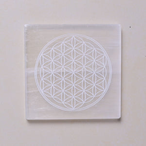 Natural Selenite Multi Crystal Plate Styled Shot – Crystal Recharging Tool