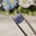 Blue Sapphire | BS 17 | 2.87 Carat