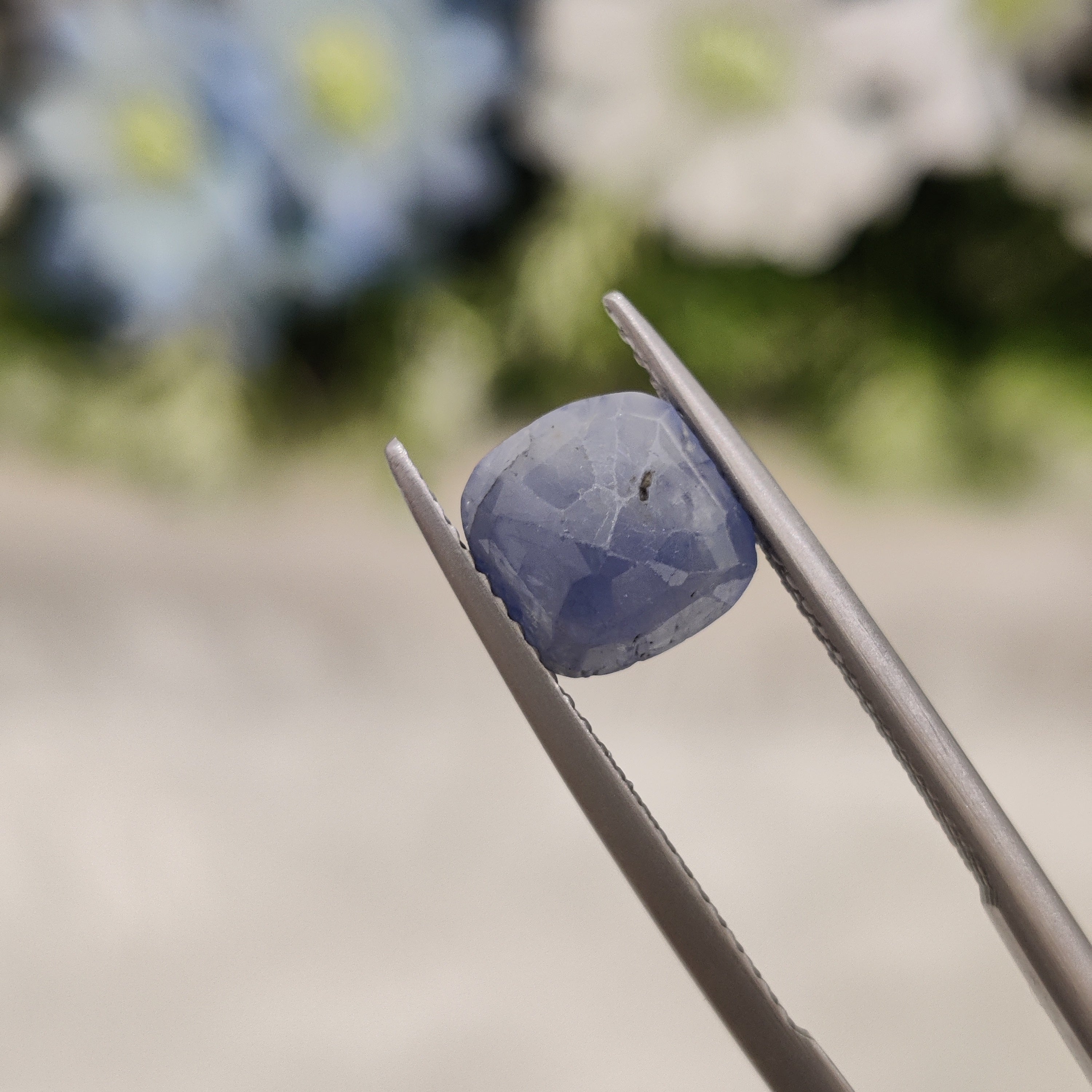 Blue Sapphire | BS 17  | 2.87 Carat