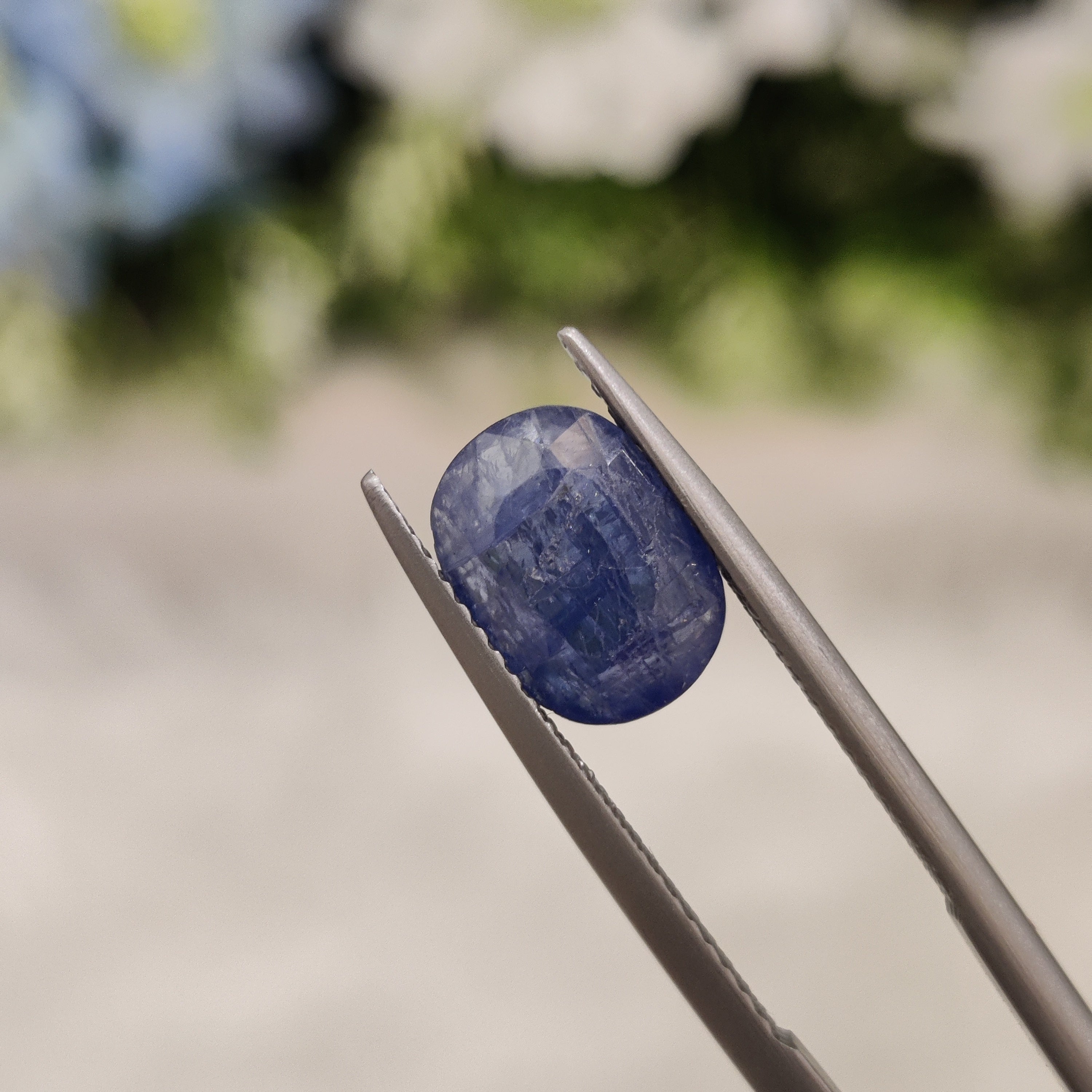 Blue Sapphire | BS 16  | 2.56 Carat