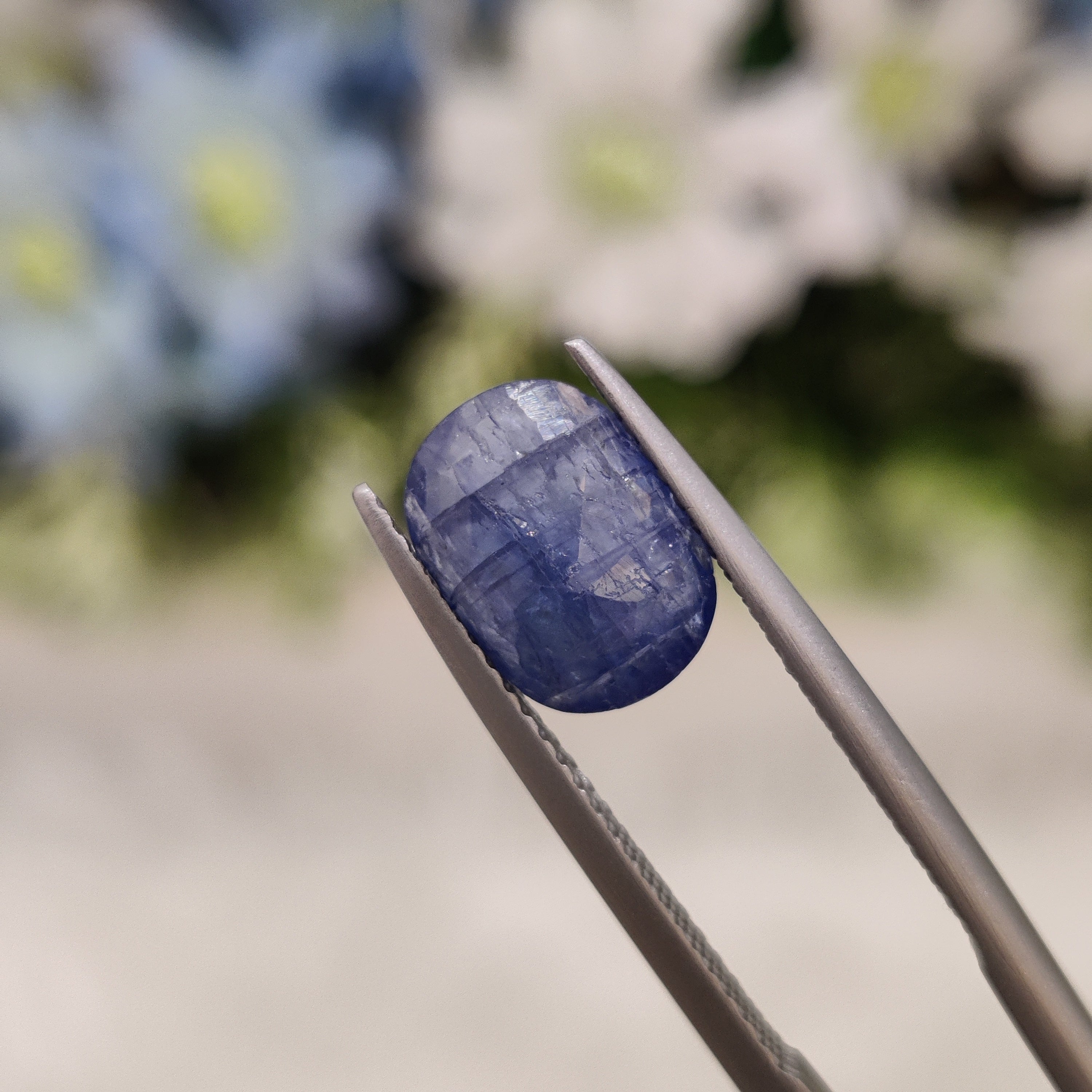 Blue Sapphire | BS 16  | 2.56 Carat