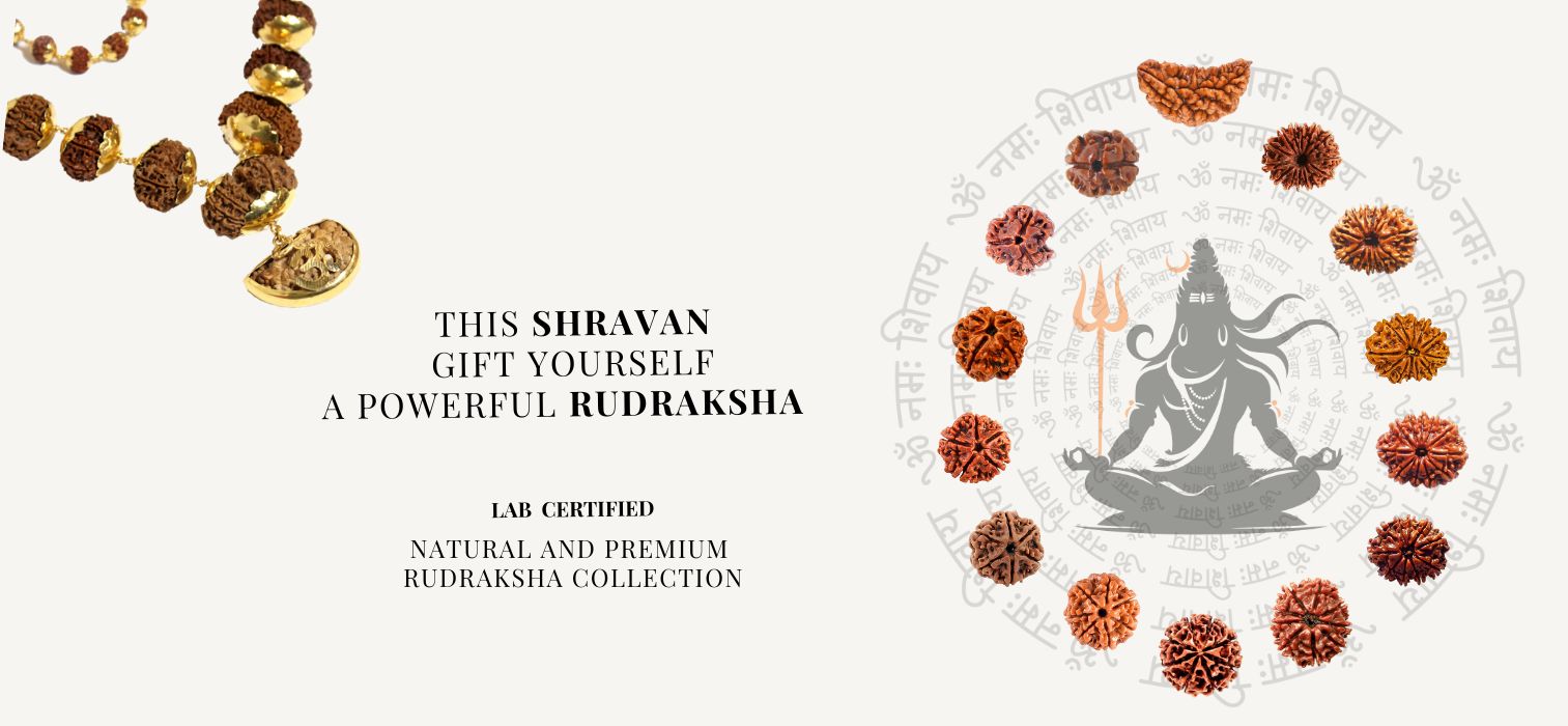 Rudraksha