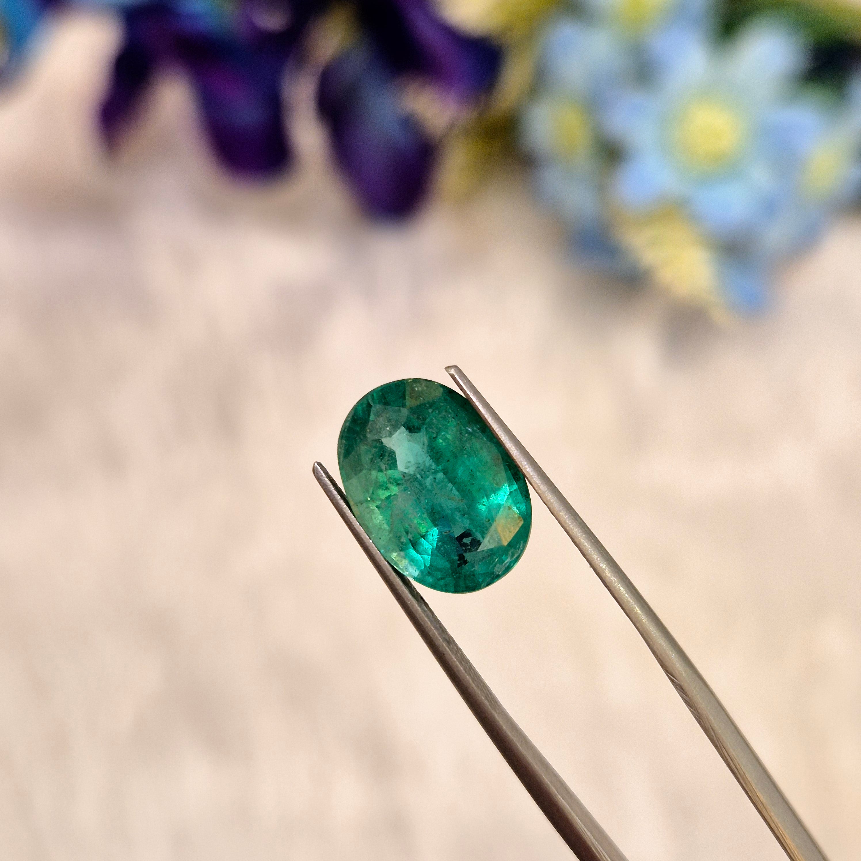 Emerald | EM 562 | 4.94 Carat