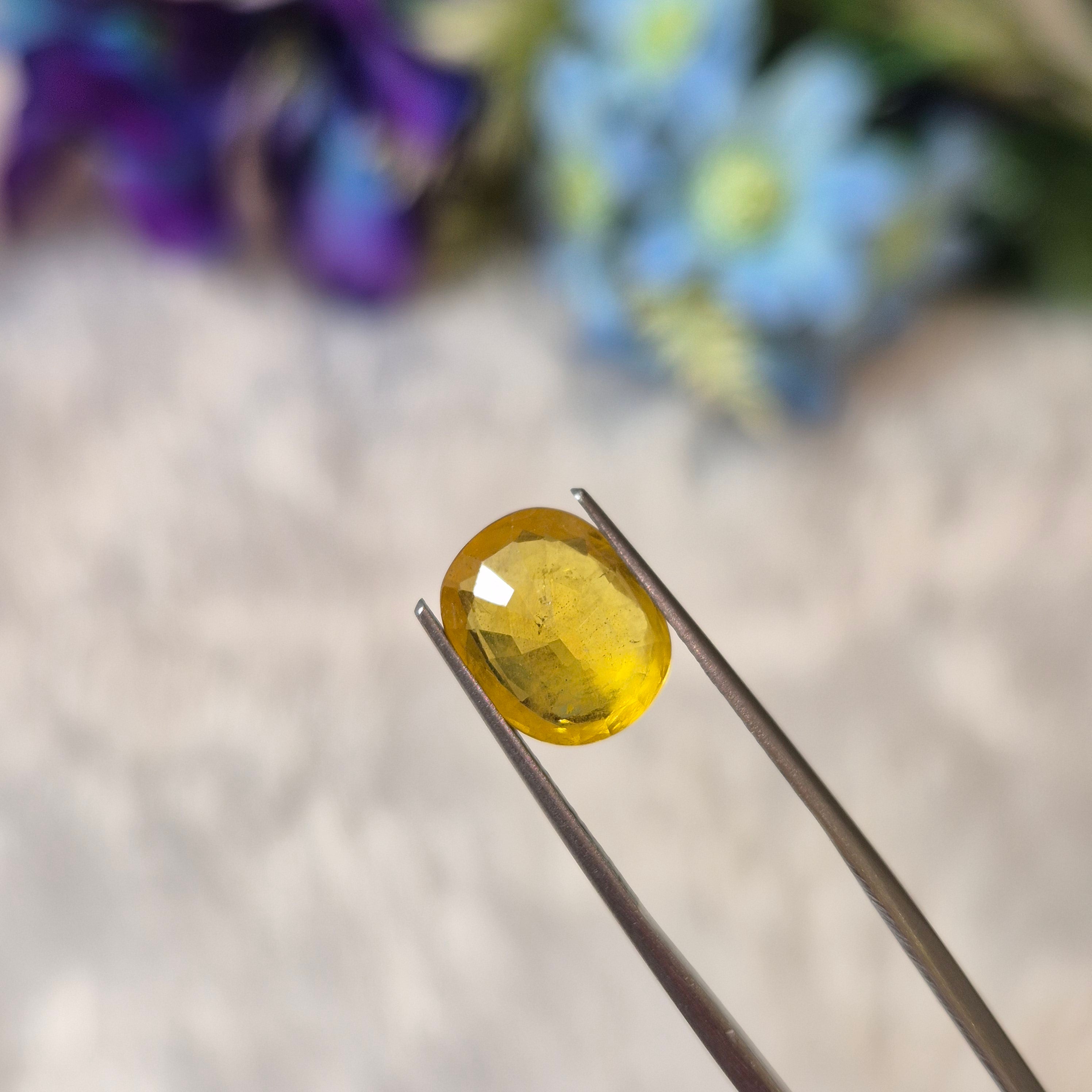 Yellow Sapphire | YS 295 | 4.22 Carat