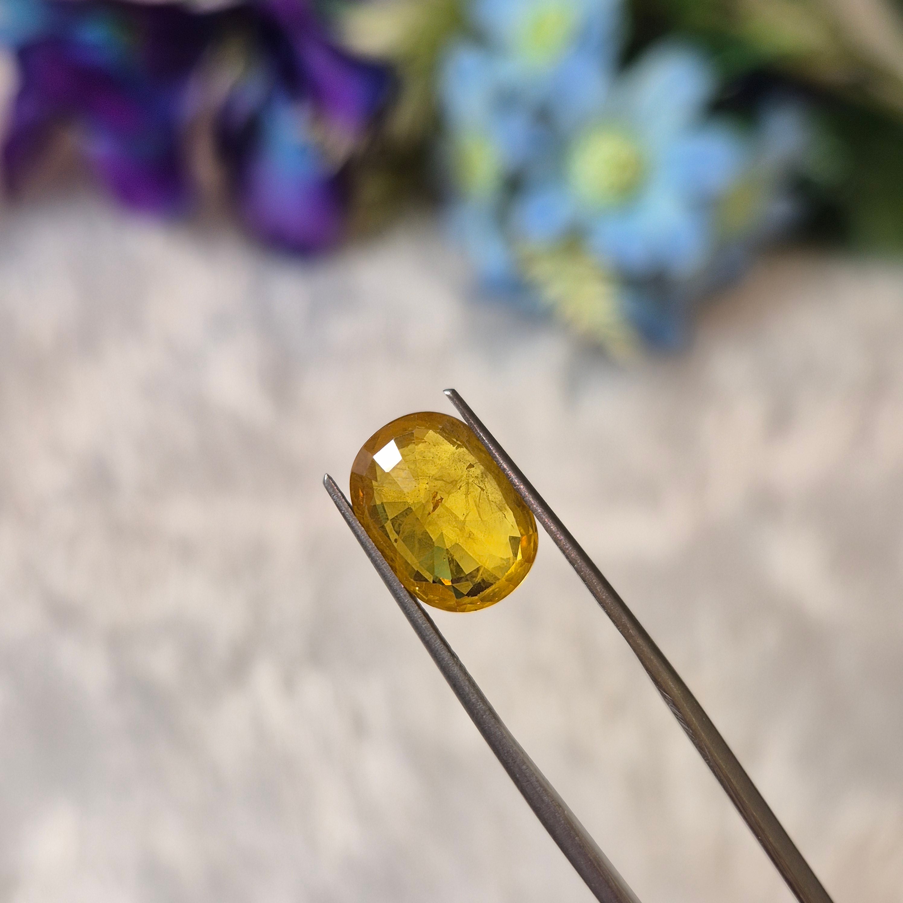 Yellow Sapphire | YS 294 | 4.92 Carat