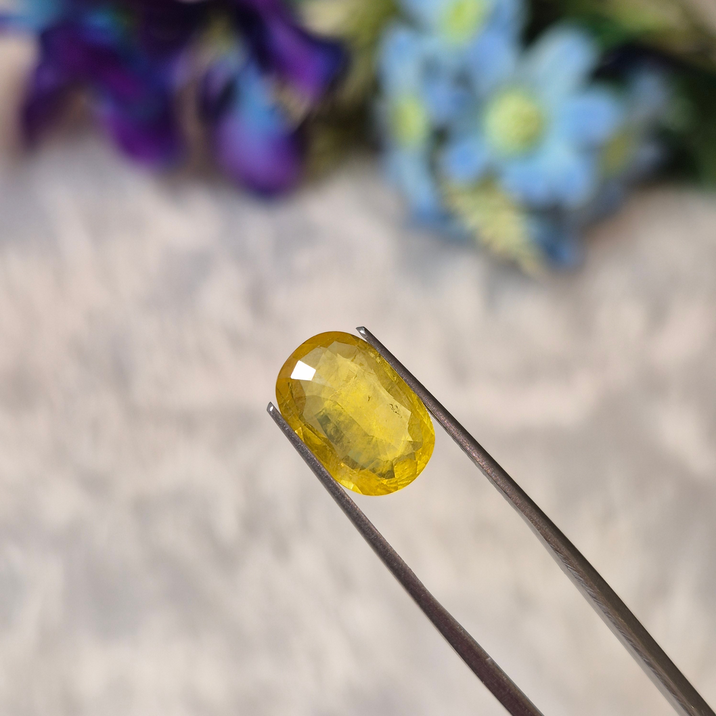 Yellow Sapphire | YS 292 | 4.62 Carat