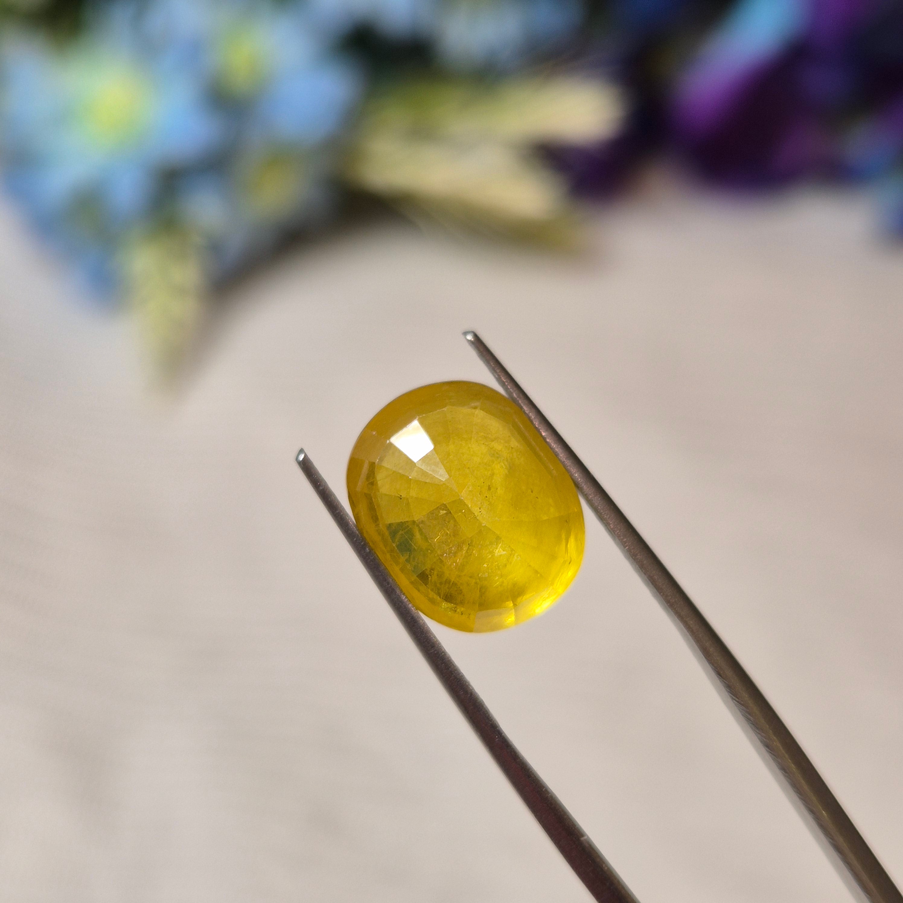 Yellow Sapphire | YS 279 | 9.09 Carat