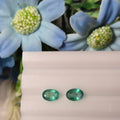 Emerald | EM 262 | 1.14 Carat